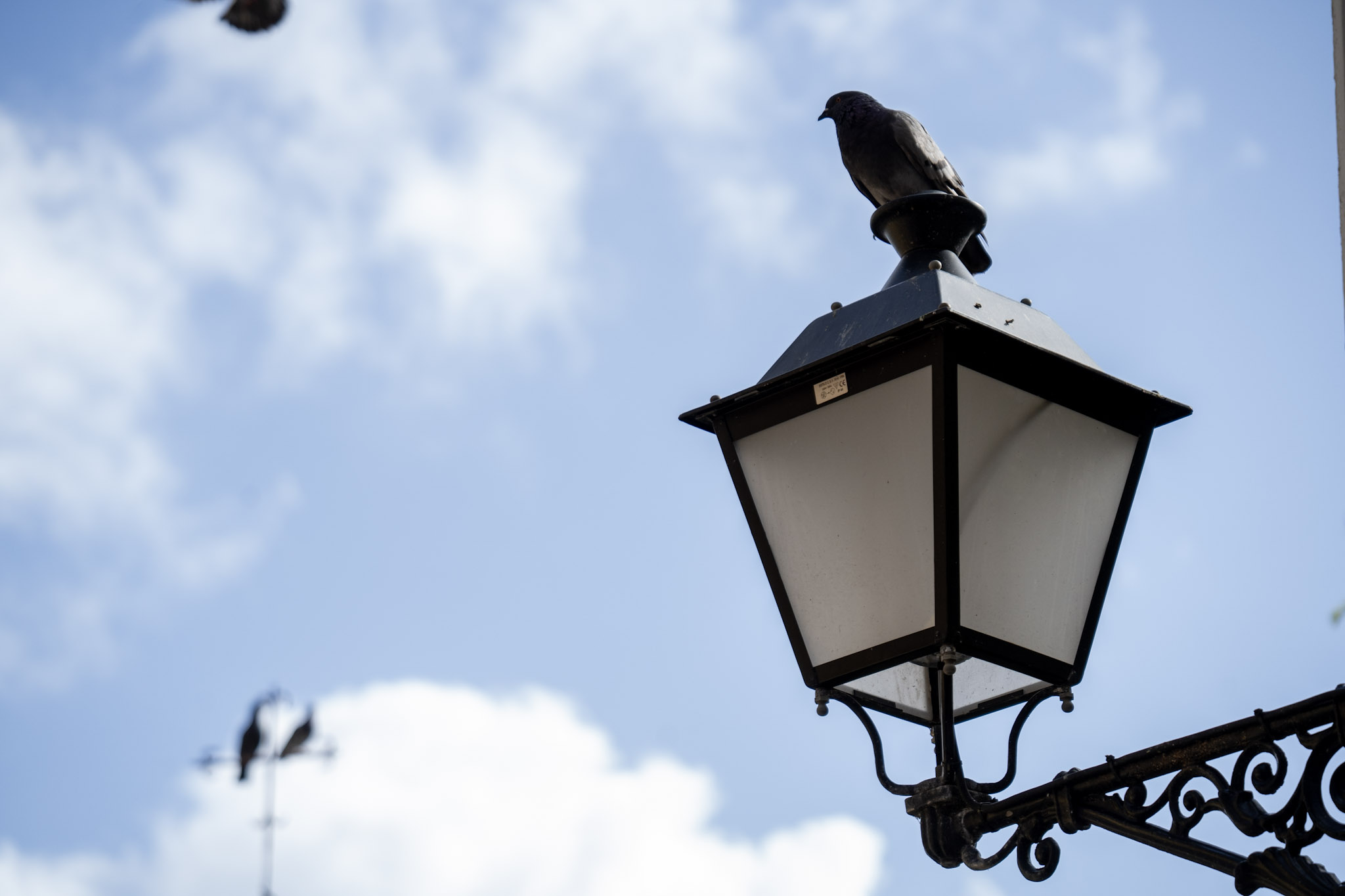 2021-01-01_San_Juan - foto 85