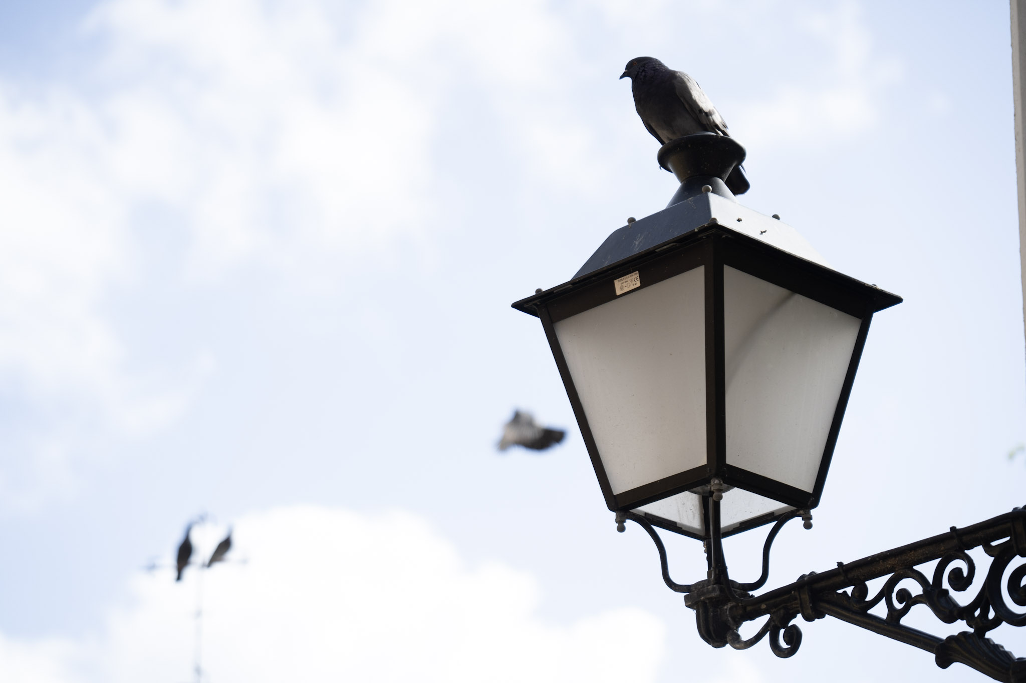 2021-01-01_San_Juan - foto 86