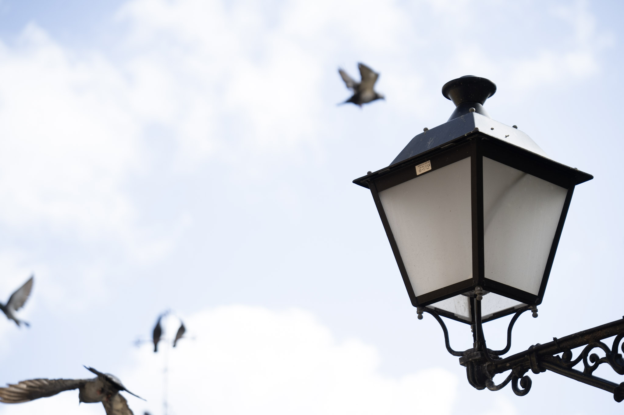 2021-01-01_San_Juan - foto 87