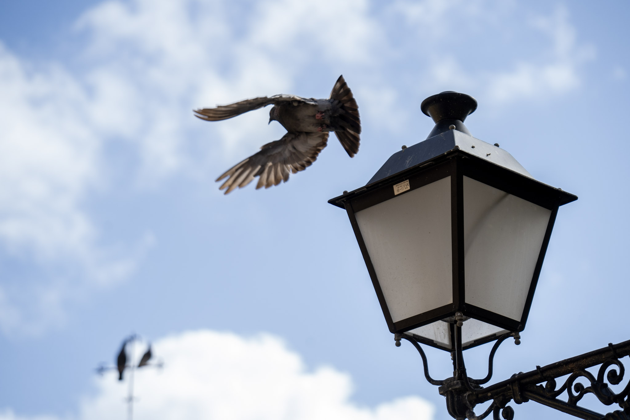 2021-01-01_San_Juan - foto 88