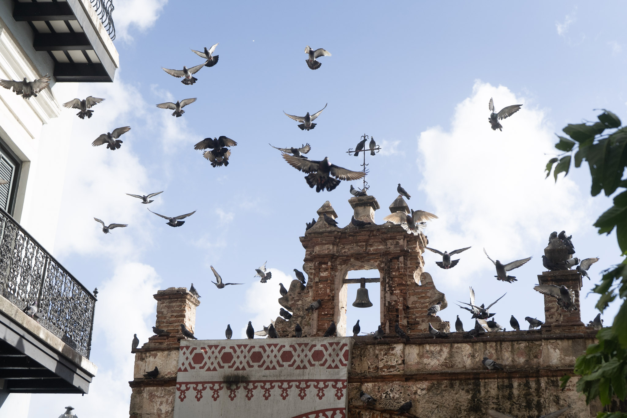 2021-01-01_San_Juan - foto 147