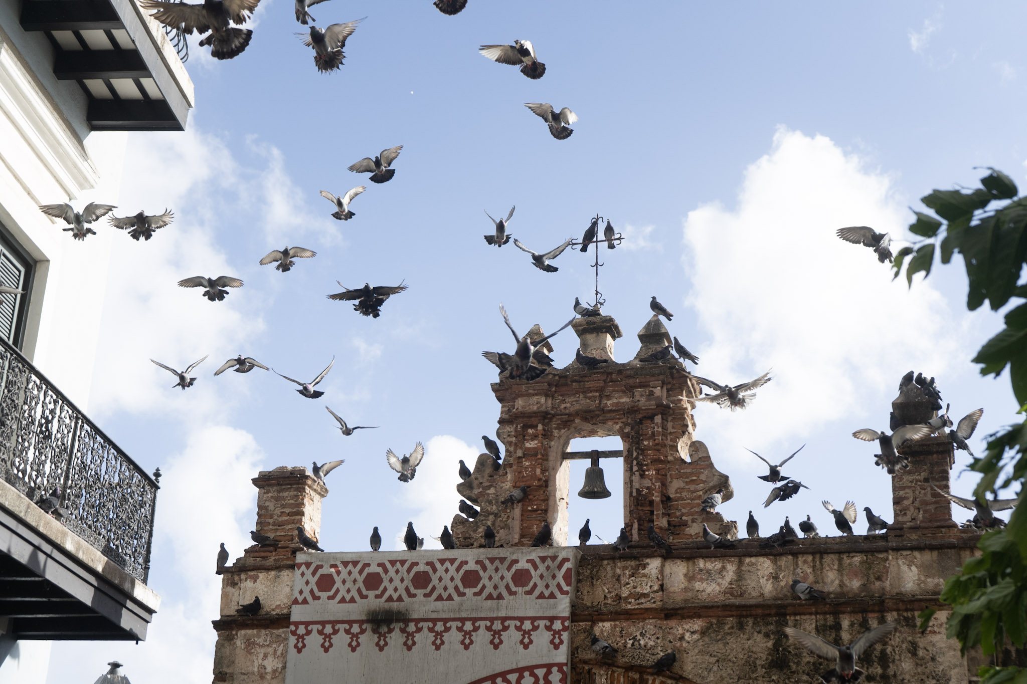 2021-01-01_San_Juan - foto 148