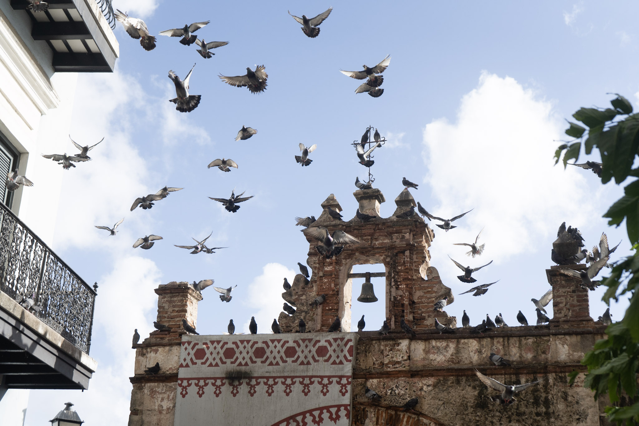 2021-01-01_San_Juan - foto 149