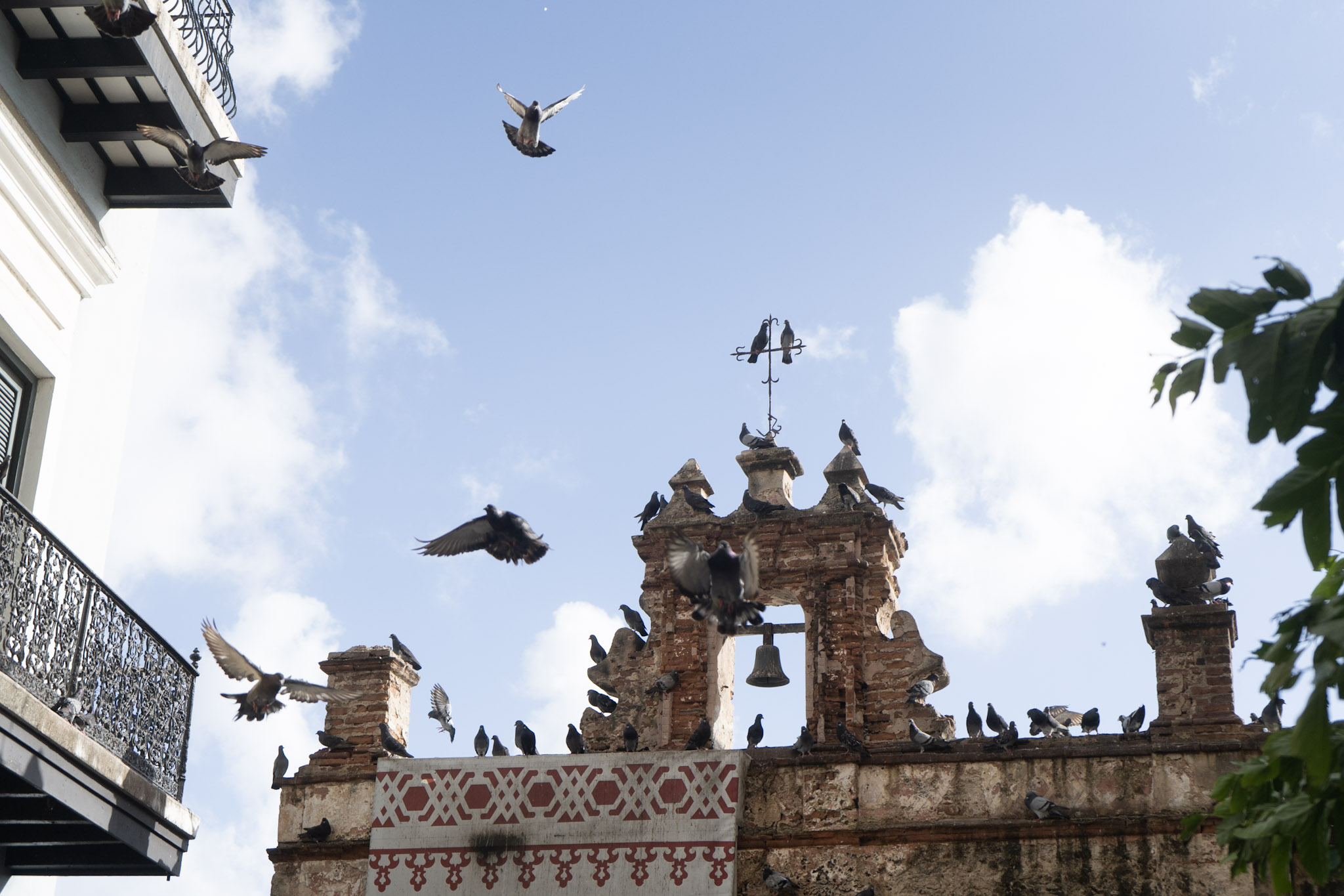 2021-01-01_San_Juan - foto 152