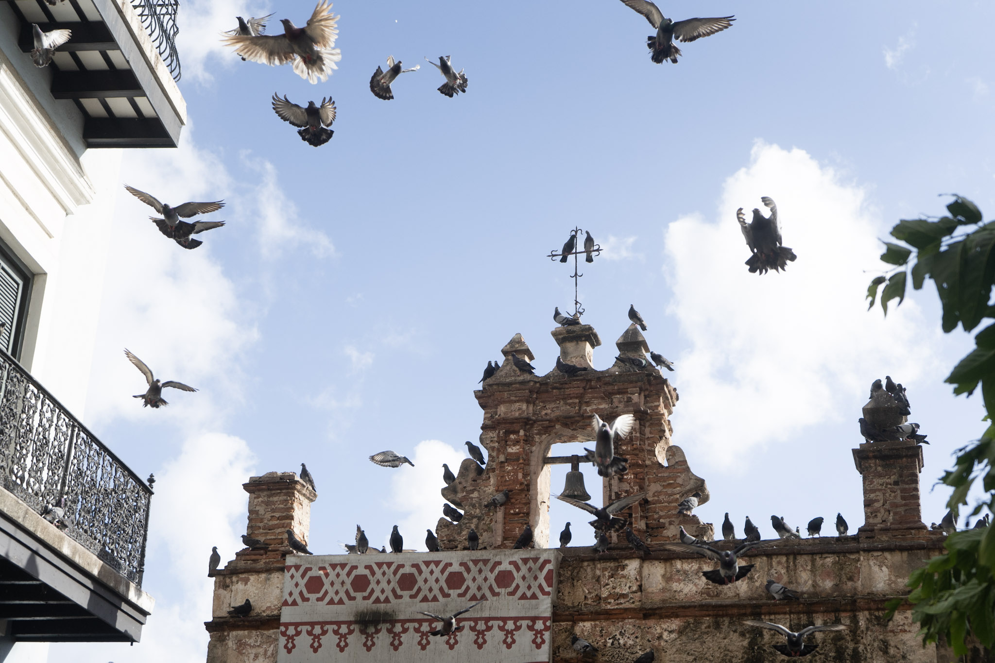 2021-01-01_San_Juan - foto 153