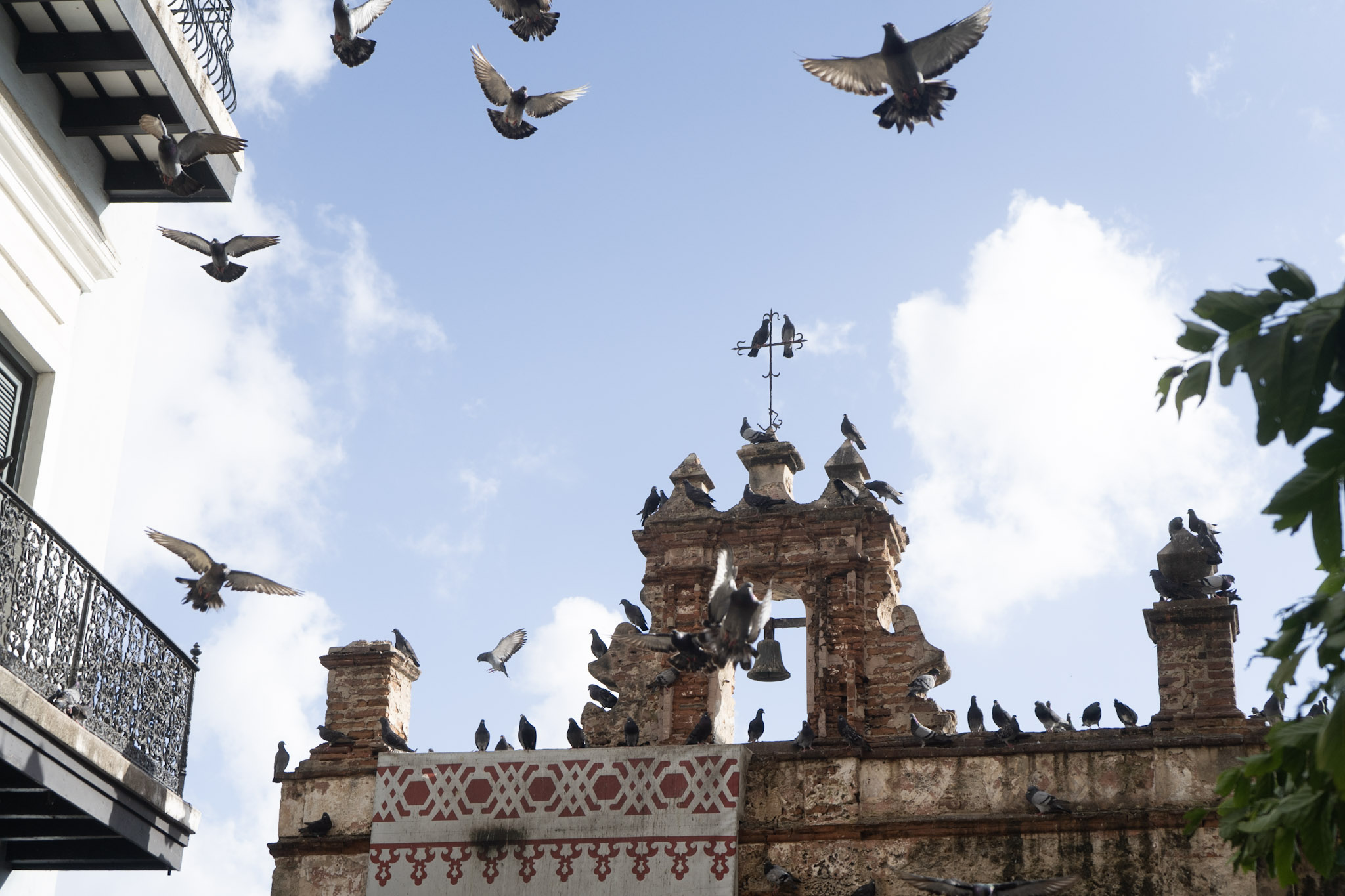 2021-01-01_San_Juan - foto 154