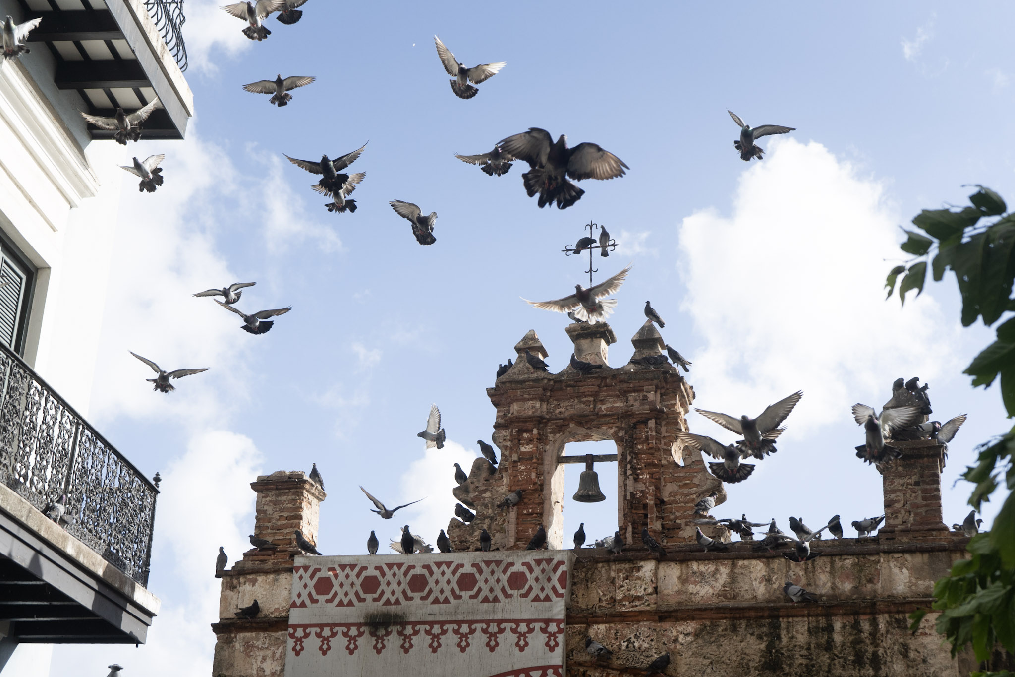 2021-01-01_San_Juan - foto 155