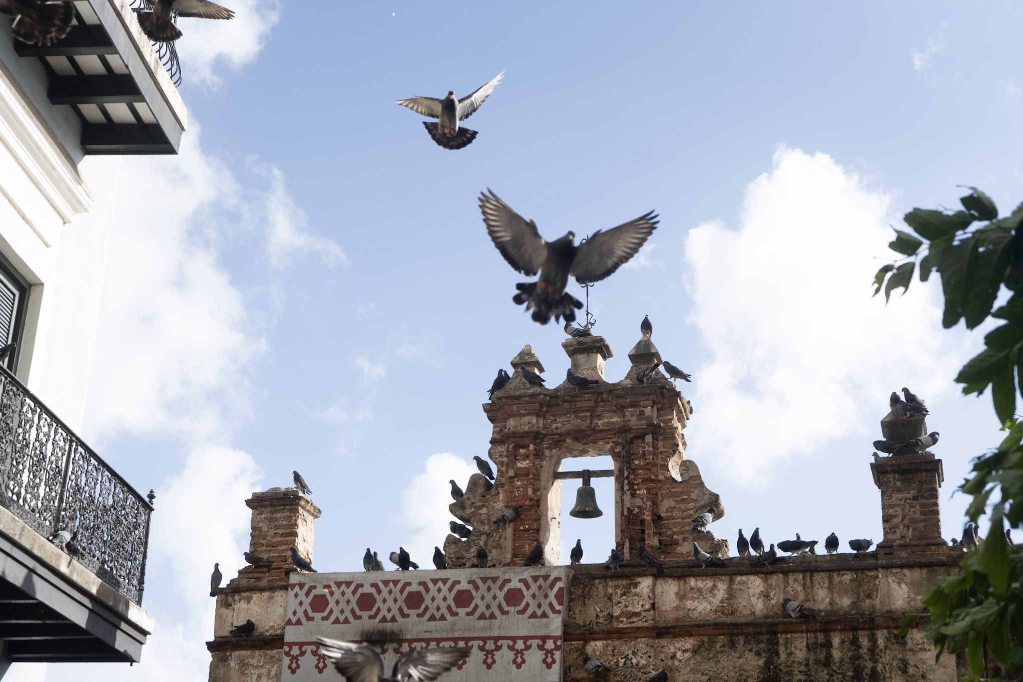 2021-01-01_San_Juan - foto 156