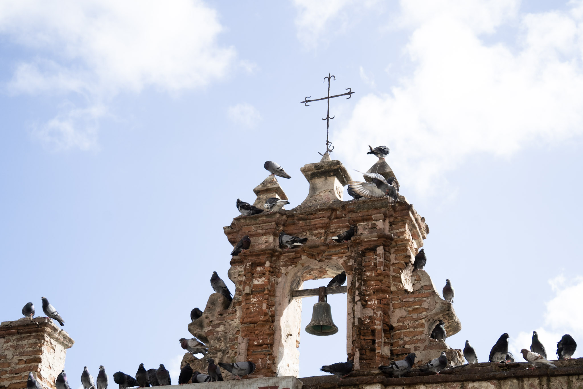 San Juan - foto 6