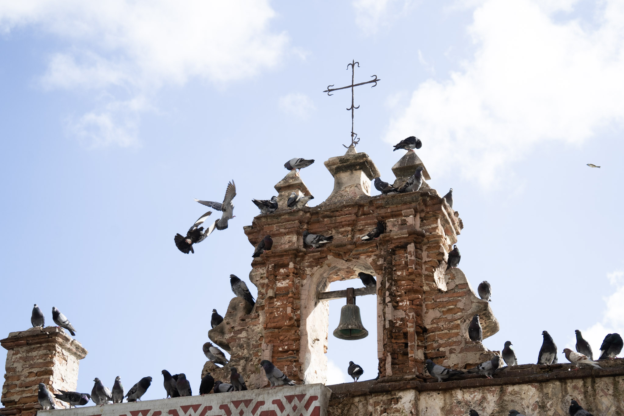 San Juan - foto 8