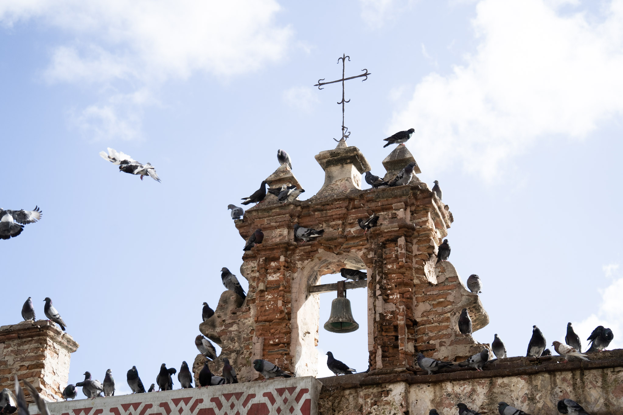 San Juan - foto 11