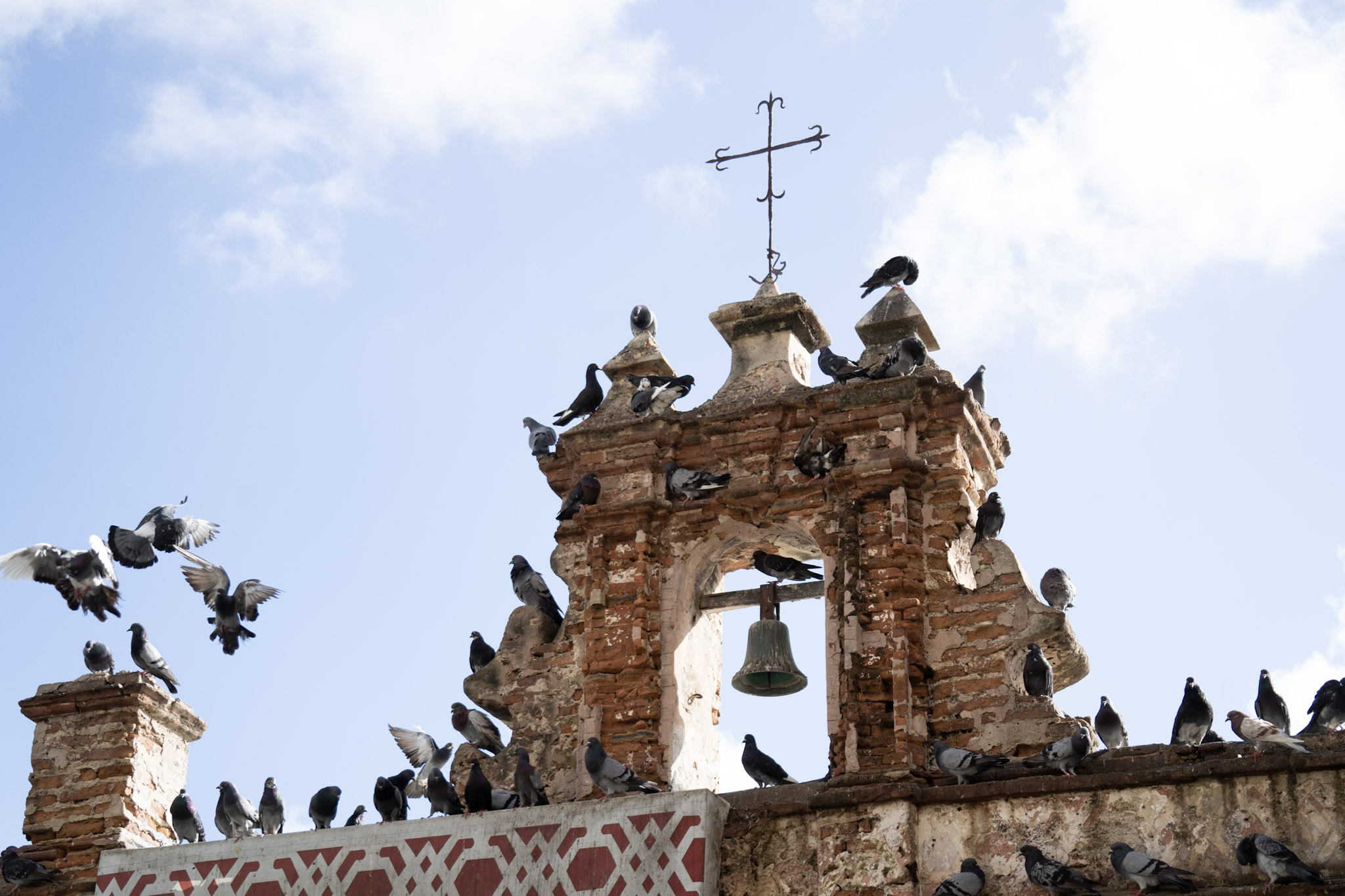 San Juan - foto 14