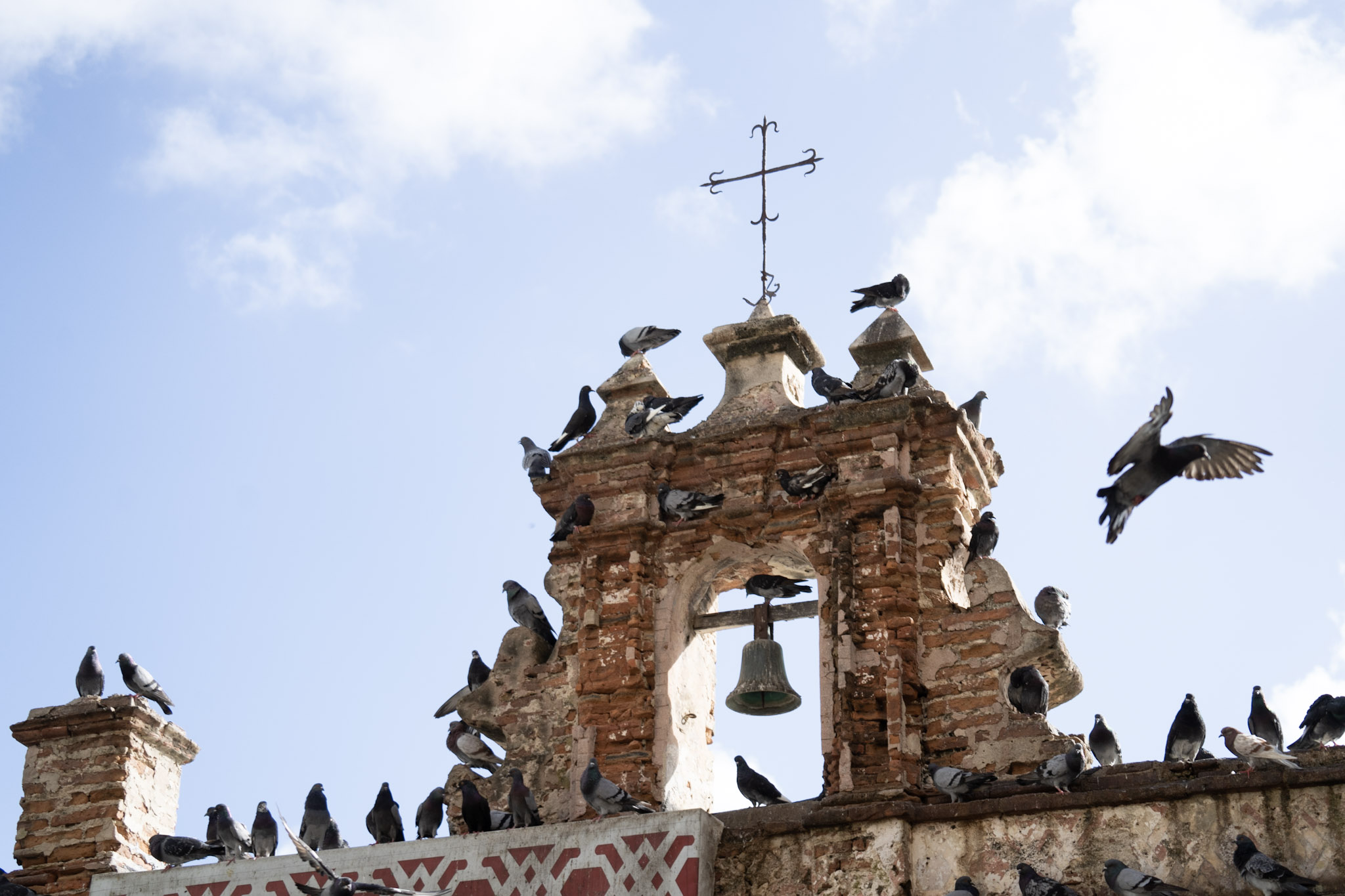 San Juan - foto 17