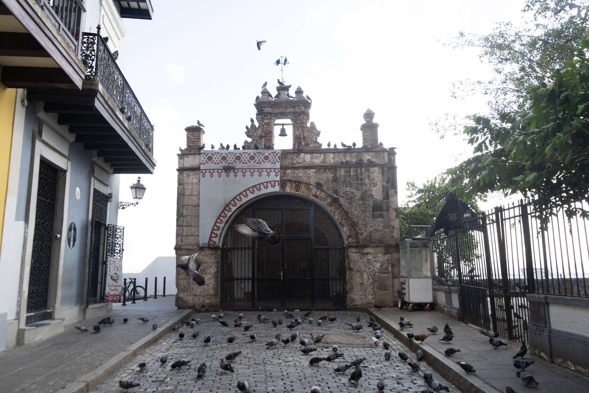 San Juan - foto 113