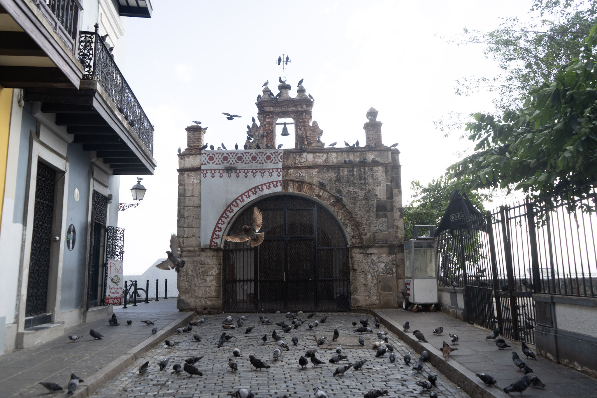 San Juan - foto 118