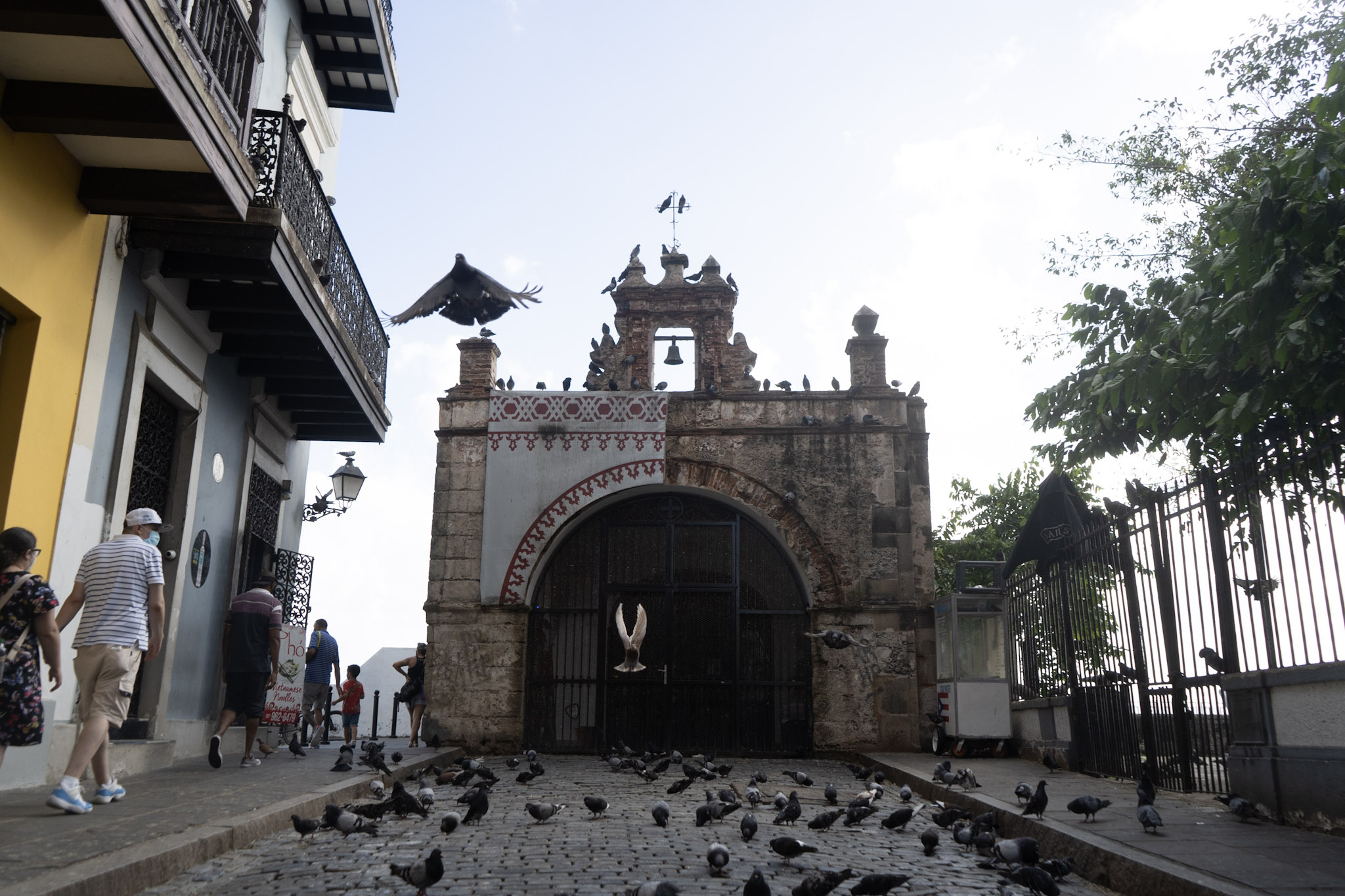San Juan - foto 129
