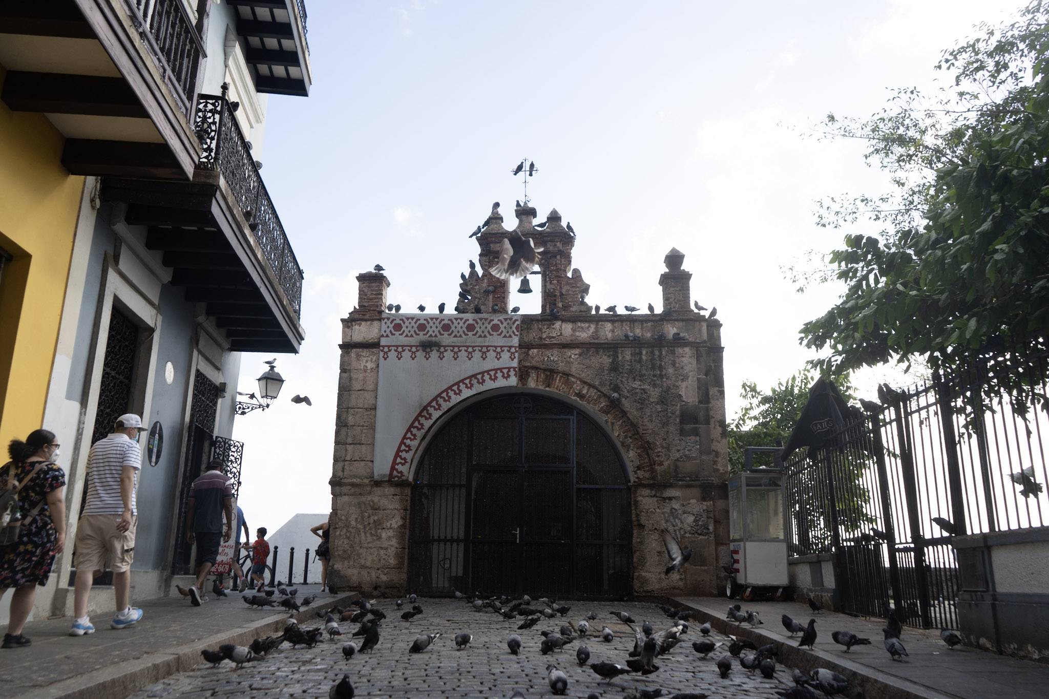 San Juan - foto 131