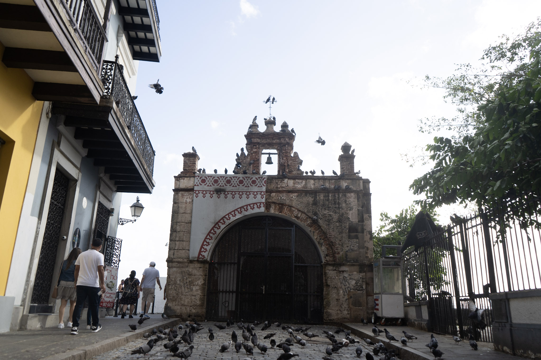 San Juan - foto 141
