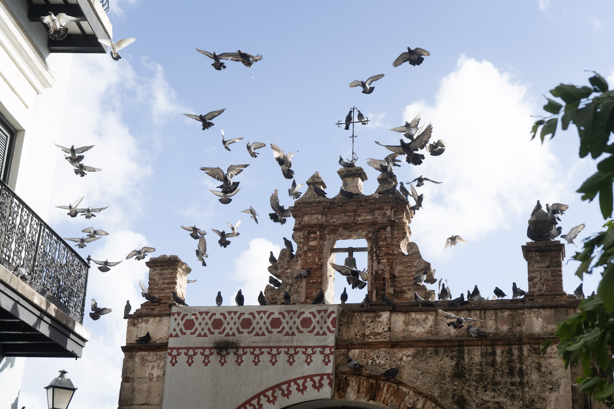 San Juan - foto 151