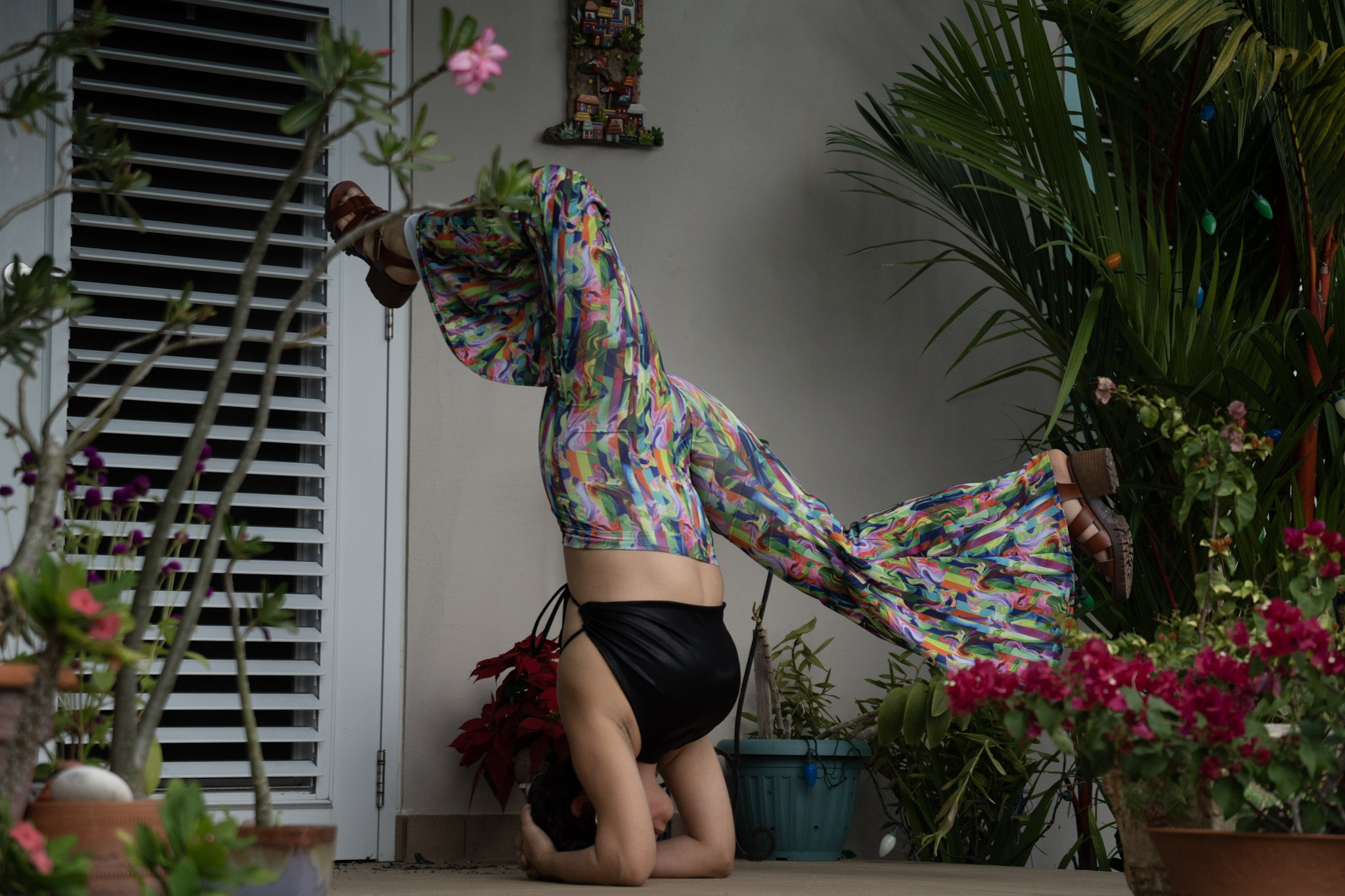 Yara - foto 147
