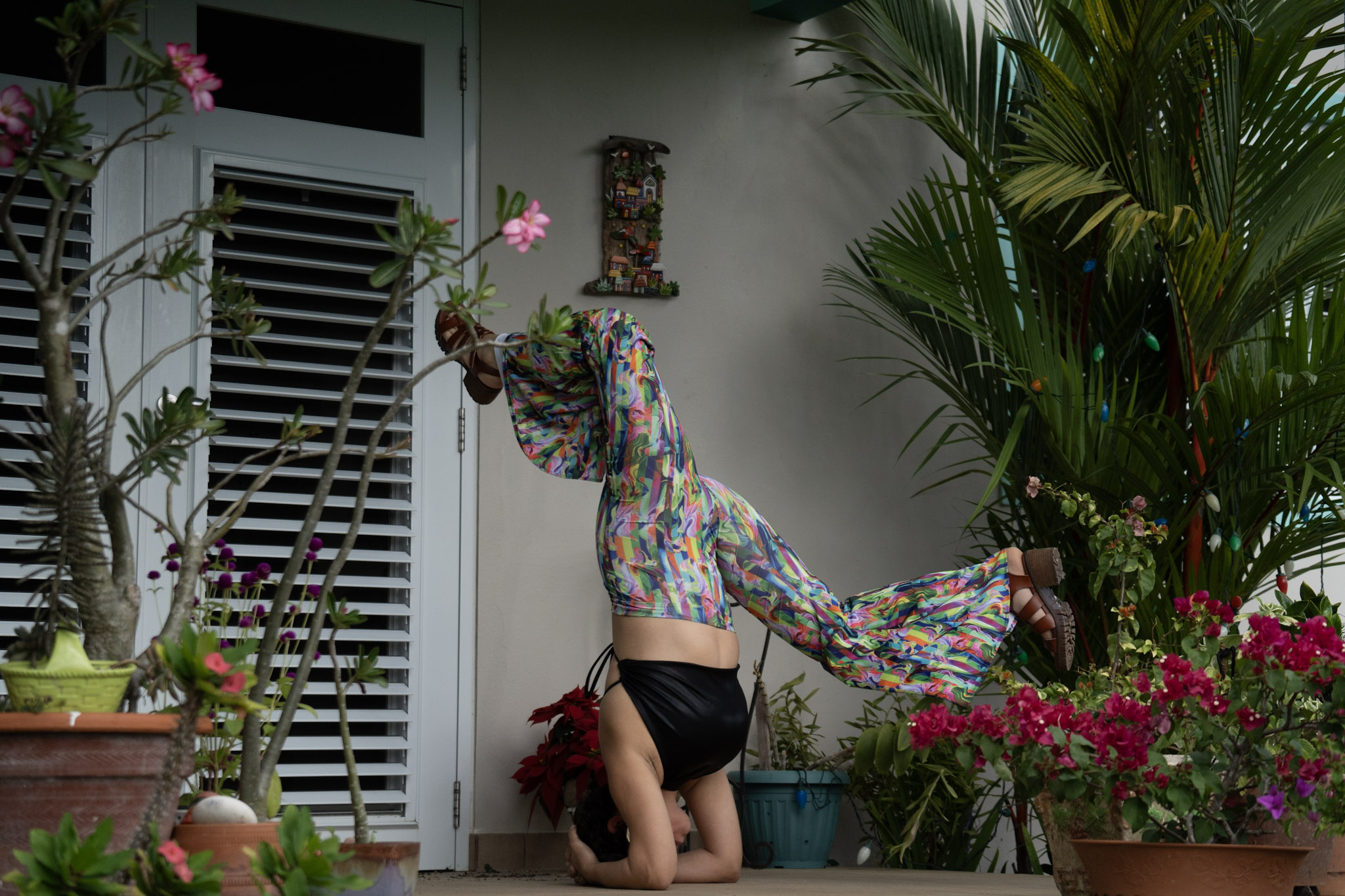 Yara - foto 156