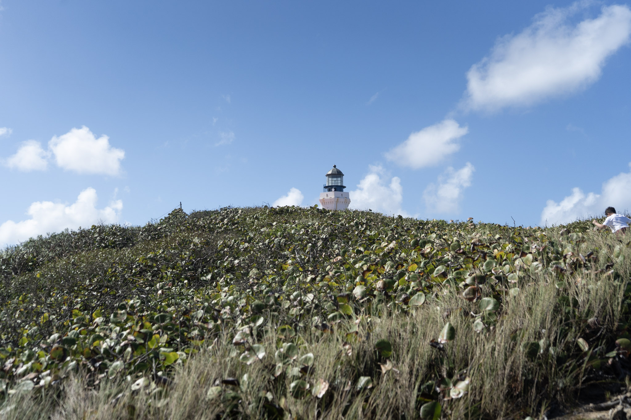 2021-01-02_Arecibo - foto 2