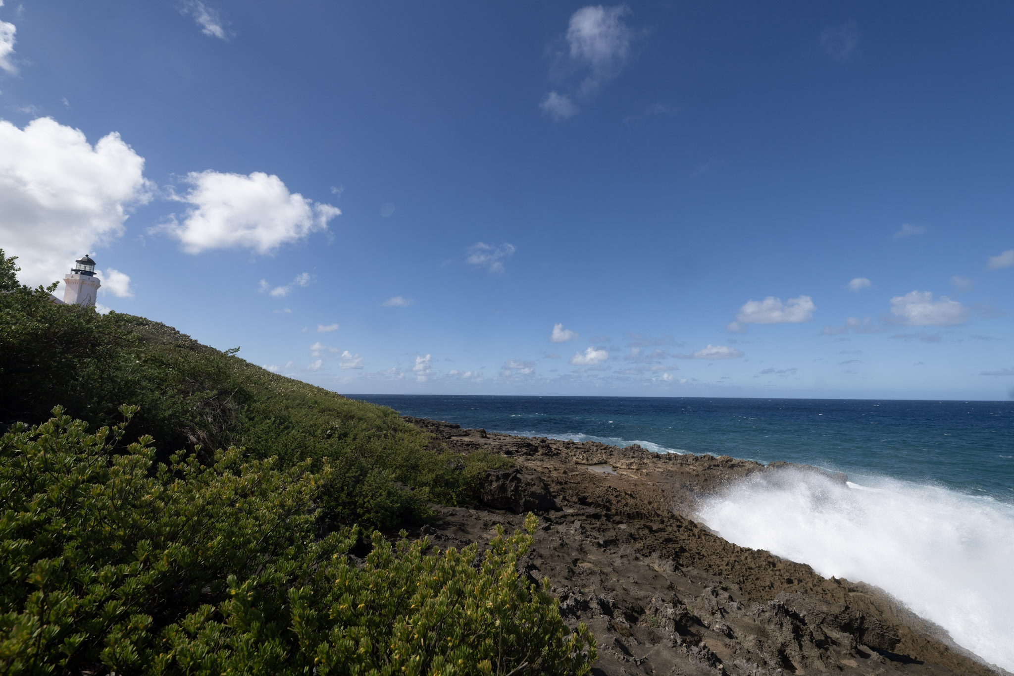 2021-01-02_Arecibo - foto 58