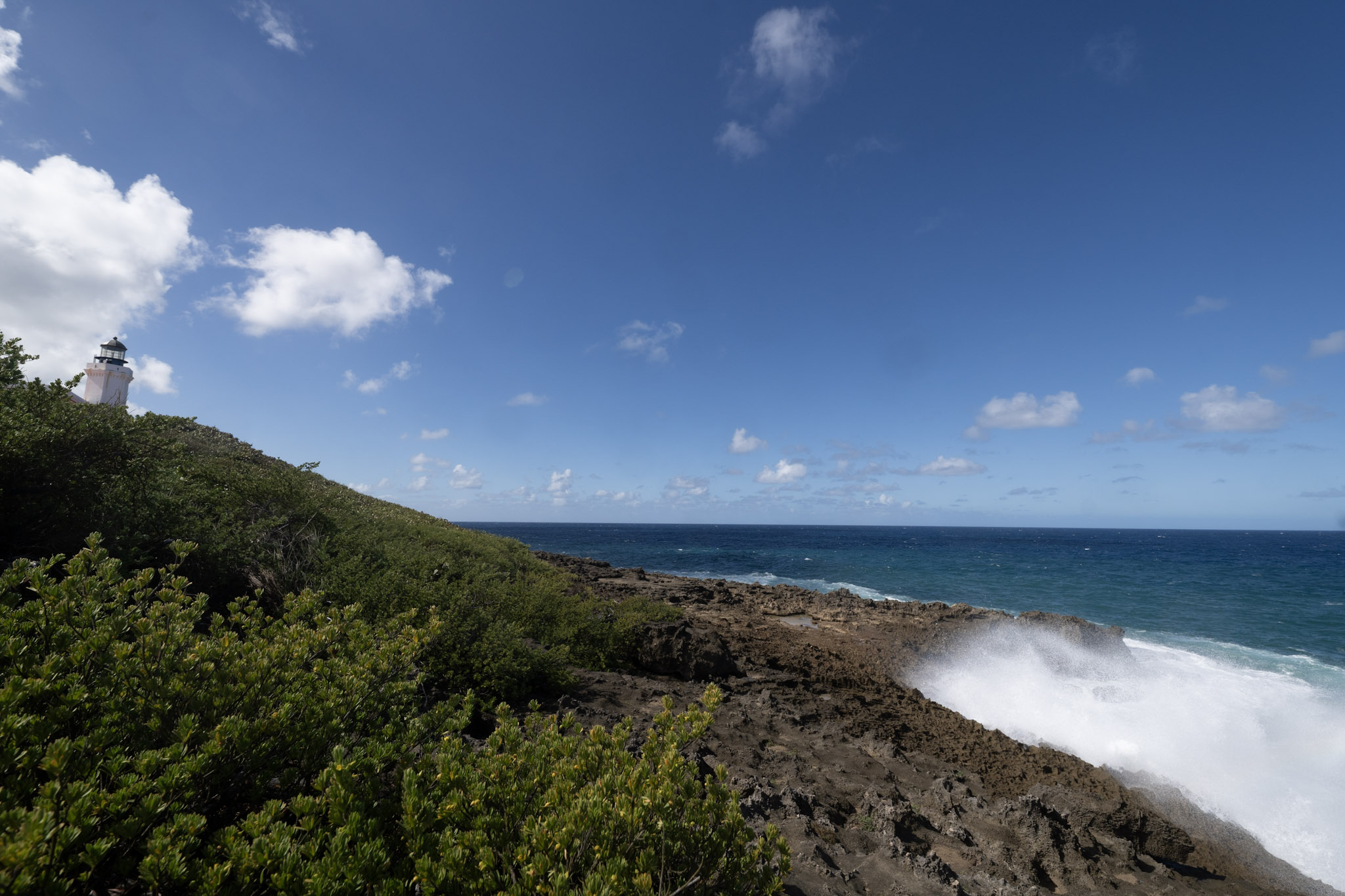 2021-01-02_Arecibo - foto 59