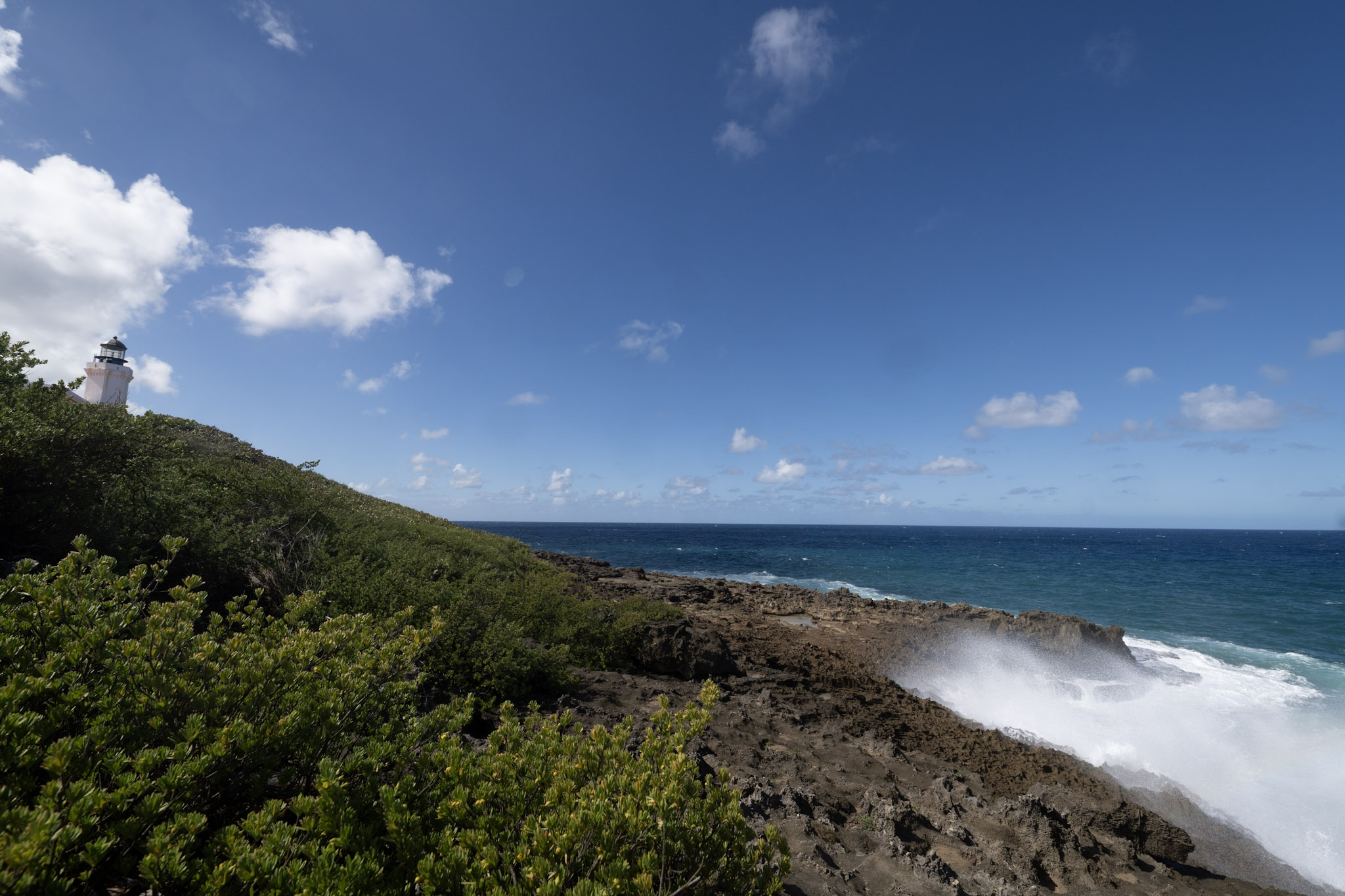 2021-01-02_Arecibo - foto 60