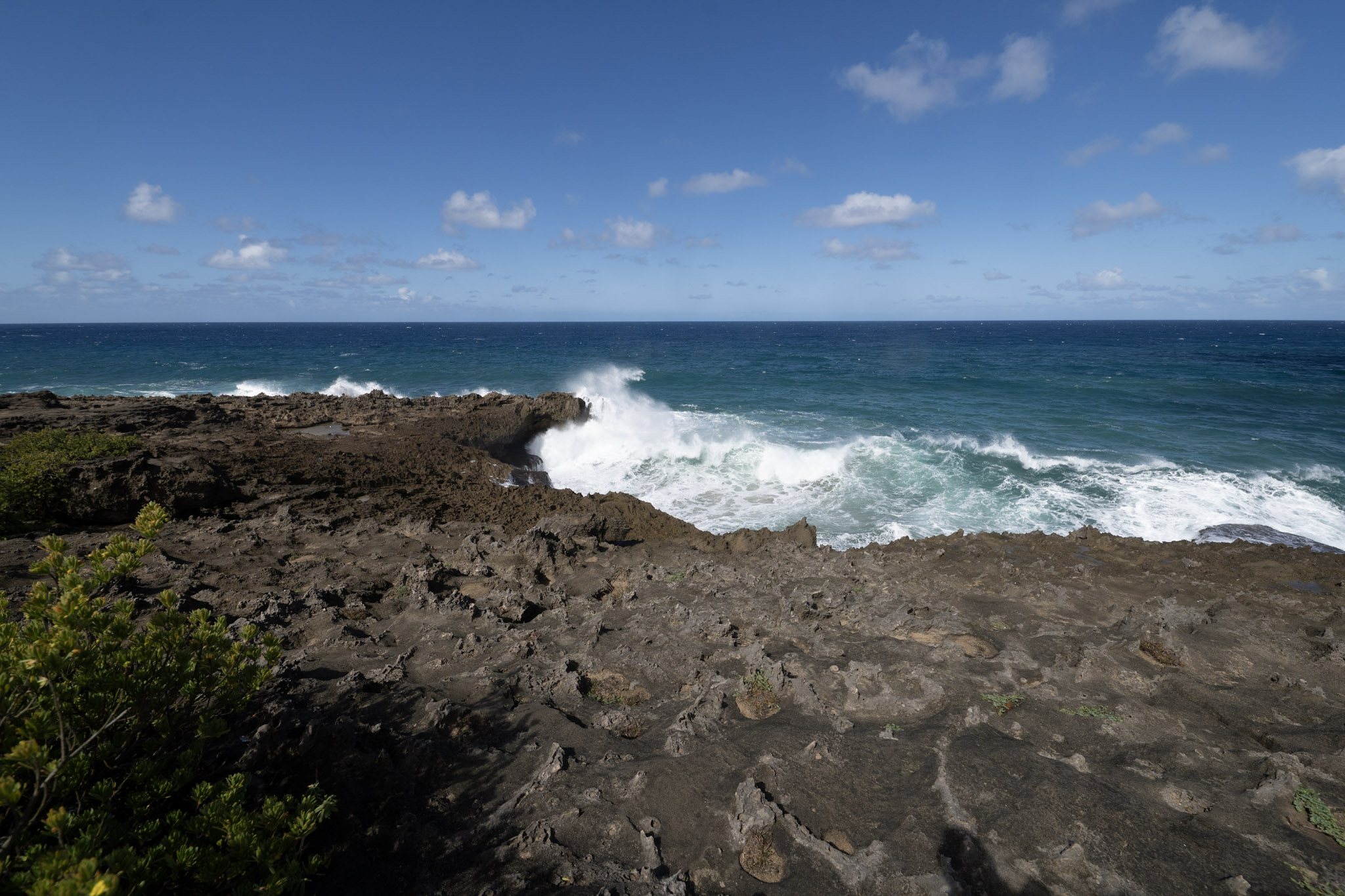 2021-01-02_Arecibo - foto 64