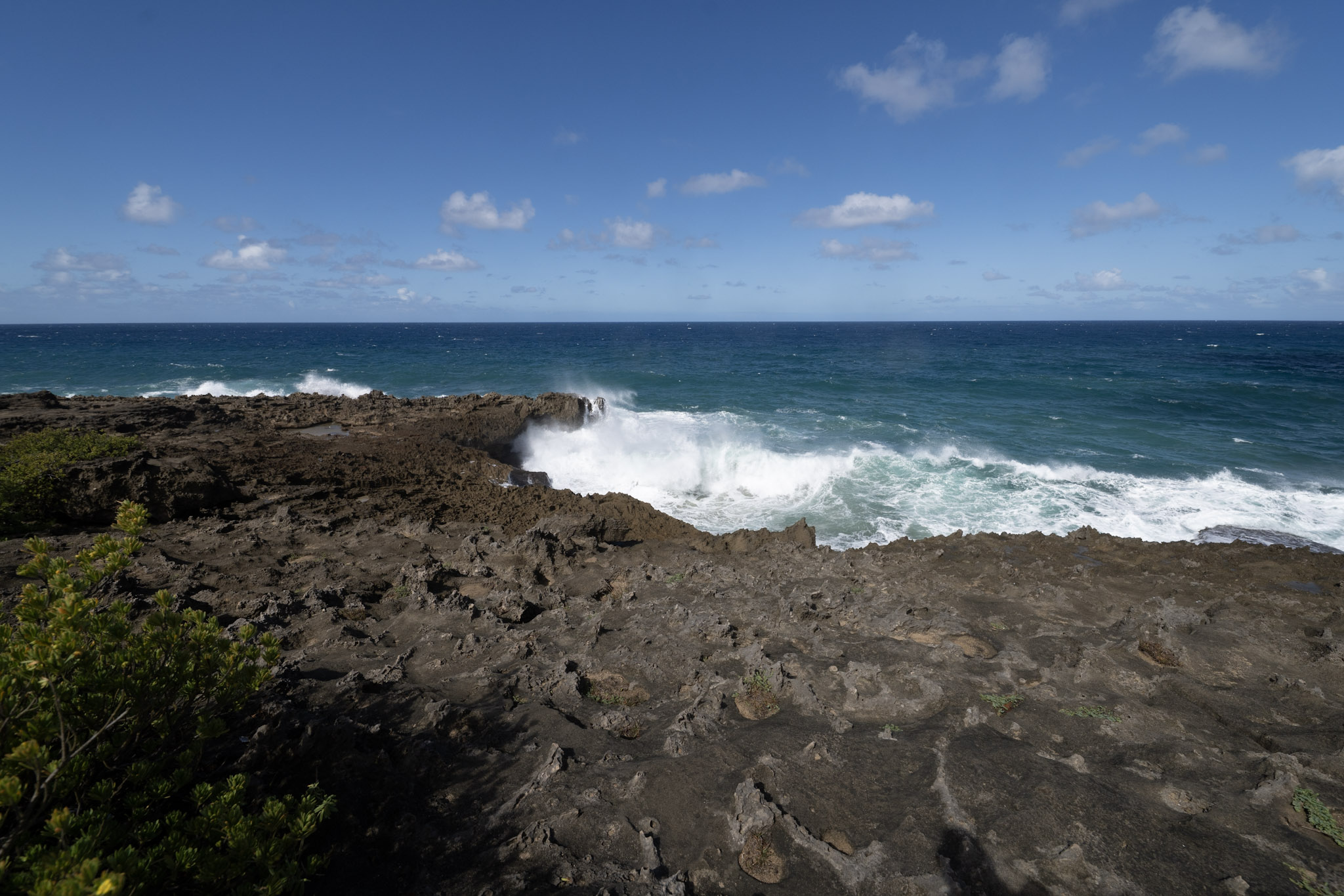 2021-01-02_Arecibo - foto 66