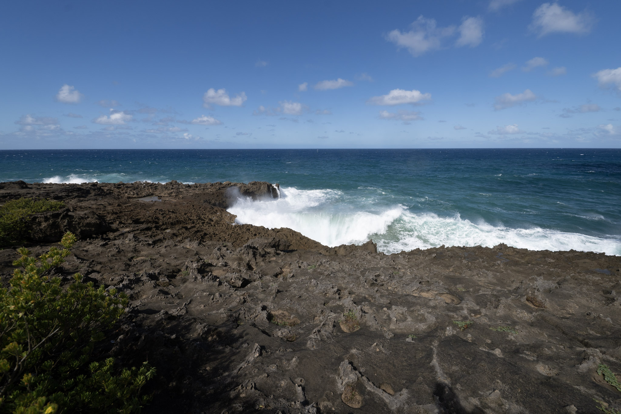 2021-01-02_Arecibo - foto 69