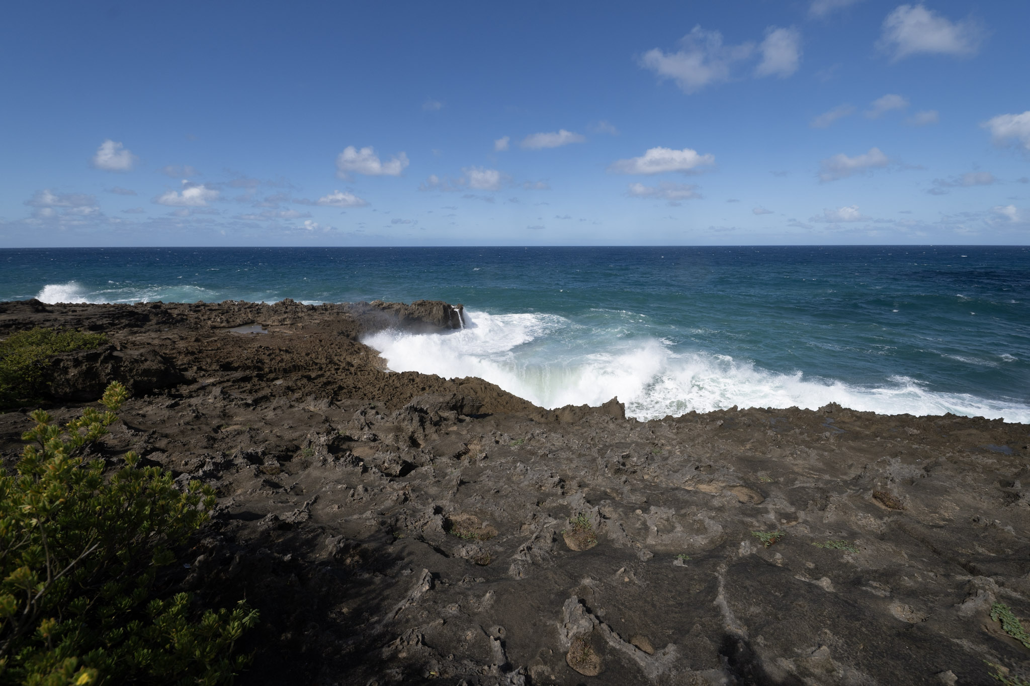 2021-01-02_Arecibo - foto 70