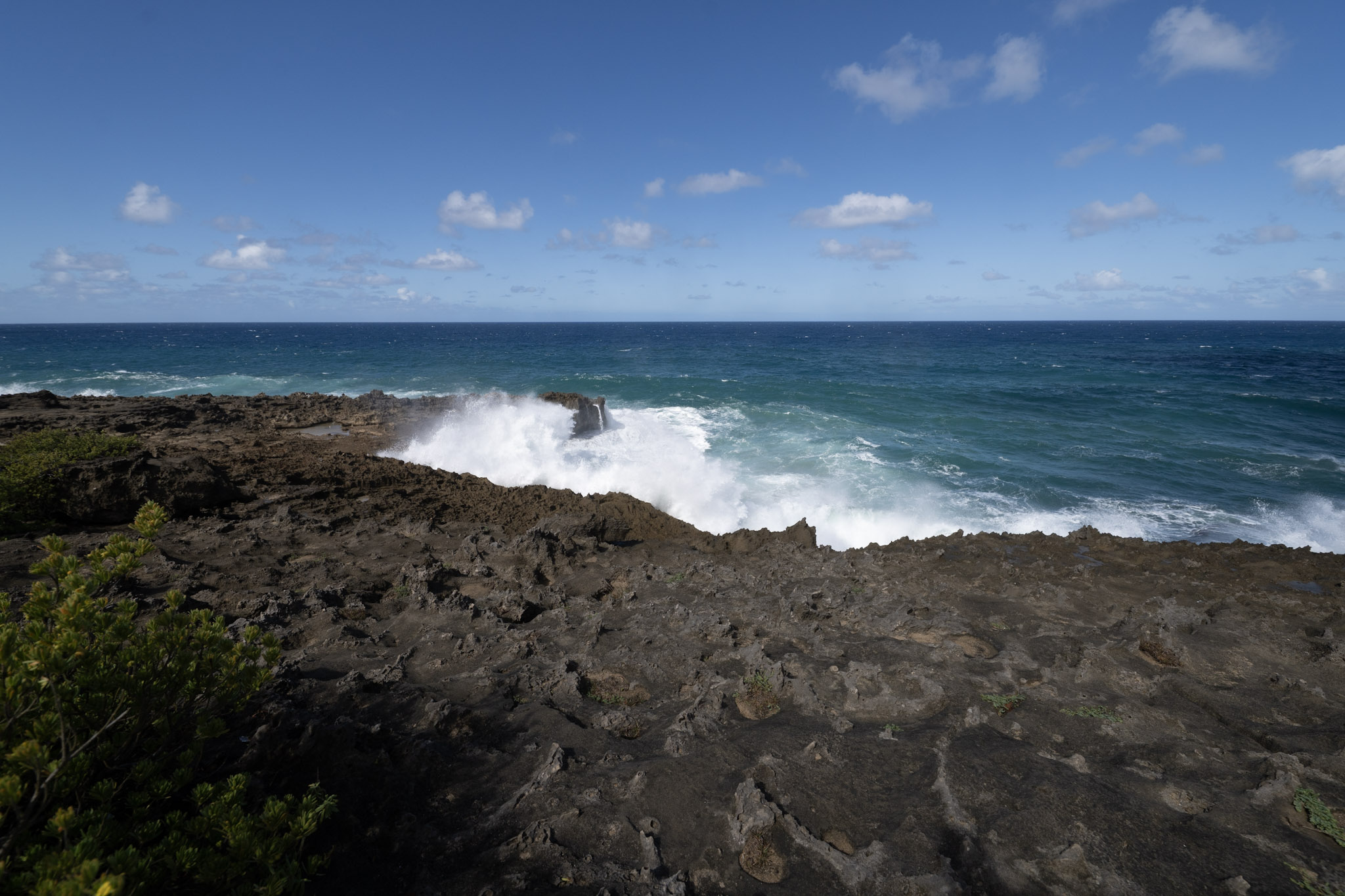 2021-01-02_Arecibo - foto 72