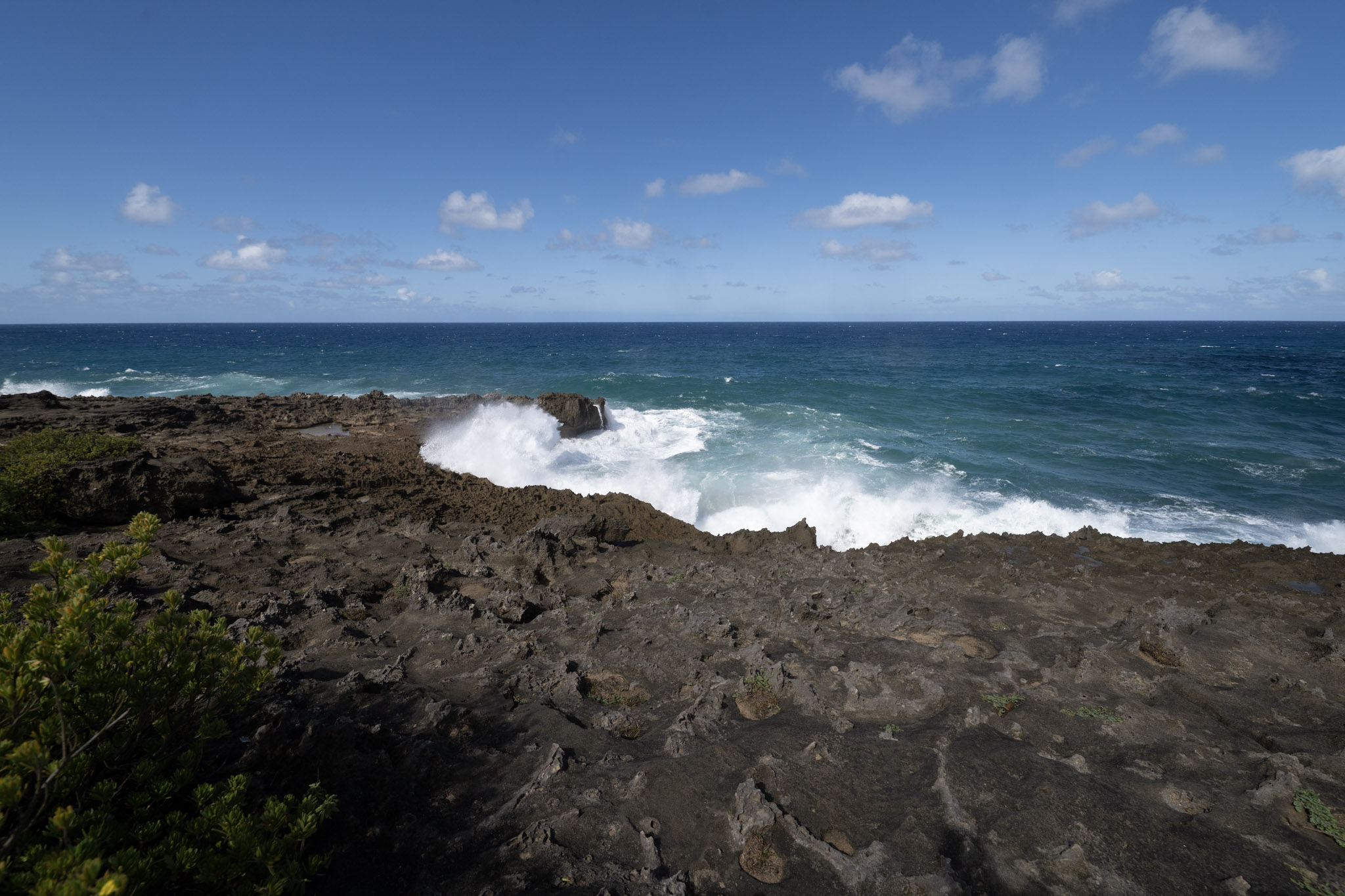 2021-01-02_Arecibo - foto 74