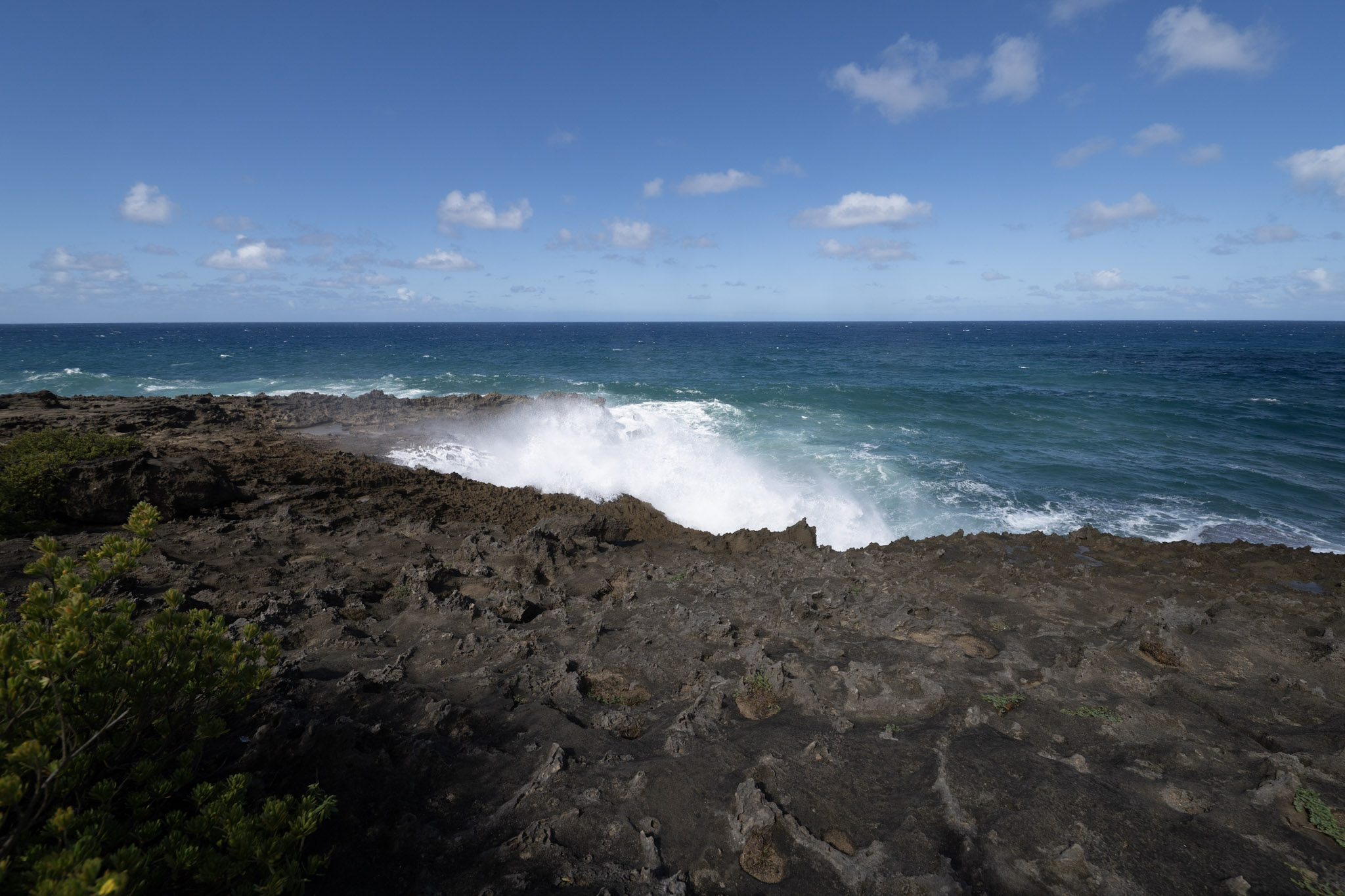 2021-01-02_Arecibo - foto 77
