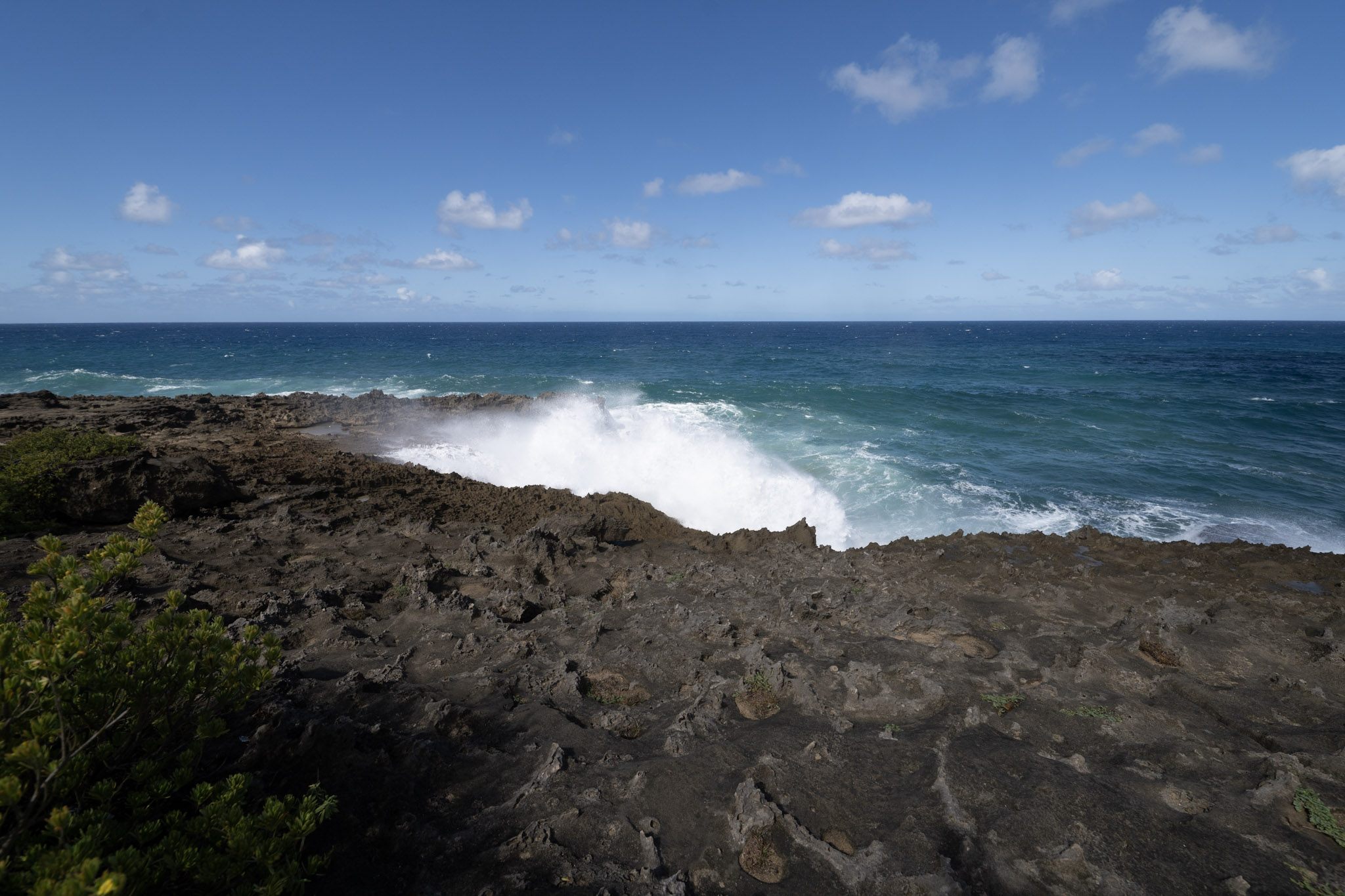 2021-01-02_Arecibo - foto 78