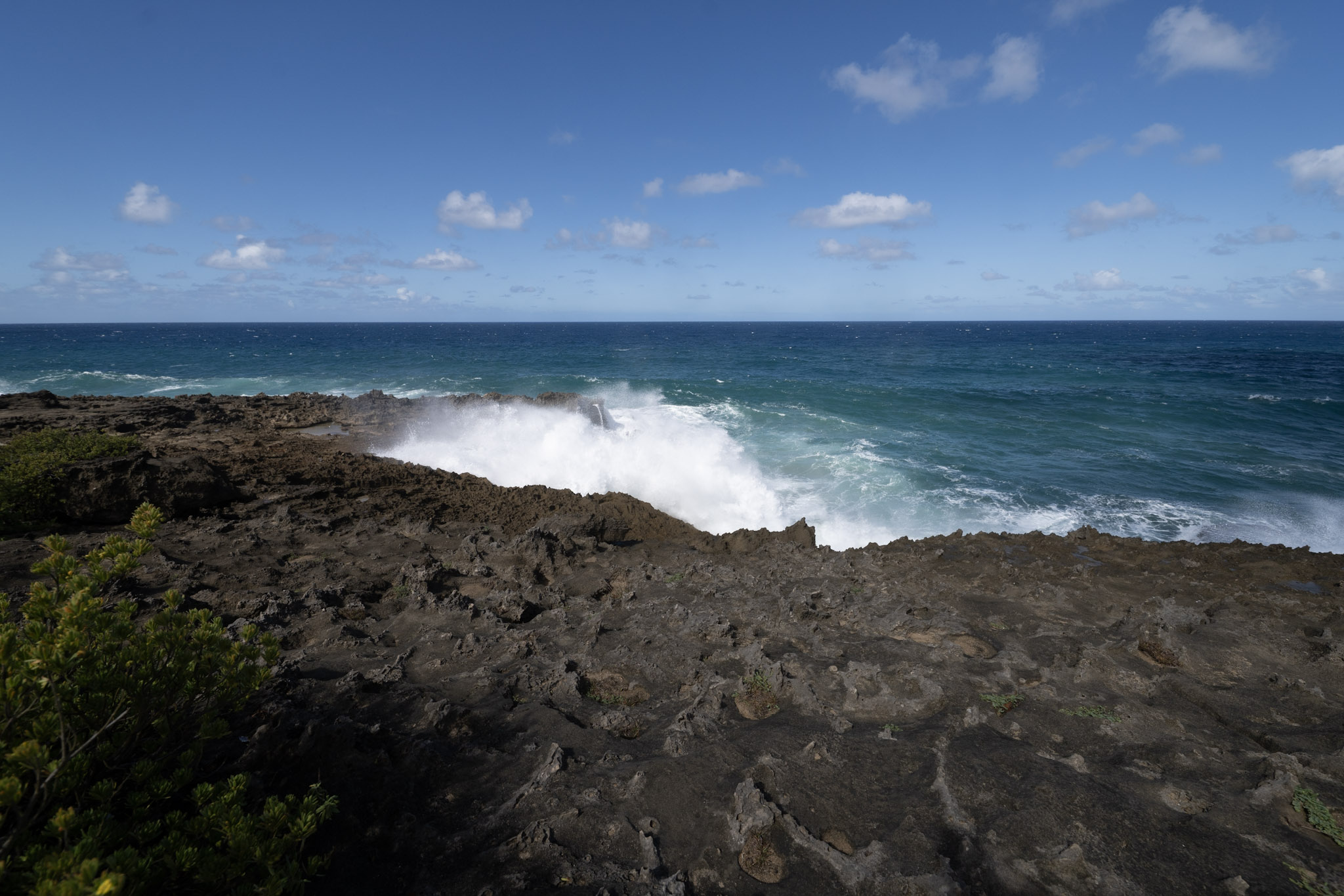 2021-01-02_Arecibo - foto 79
