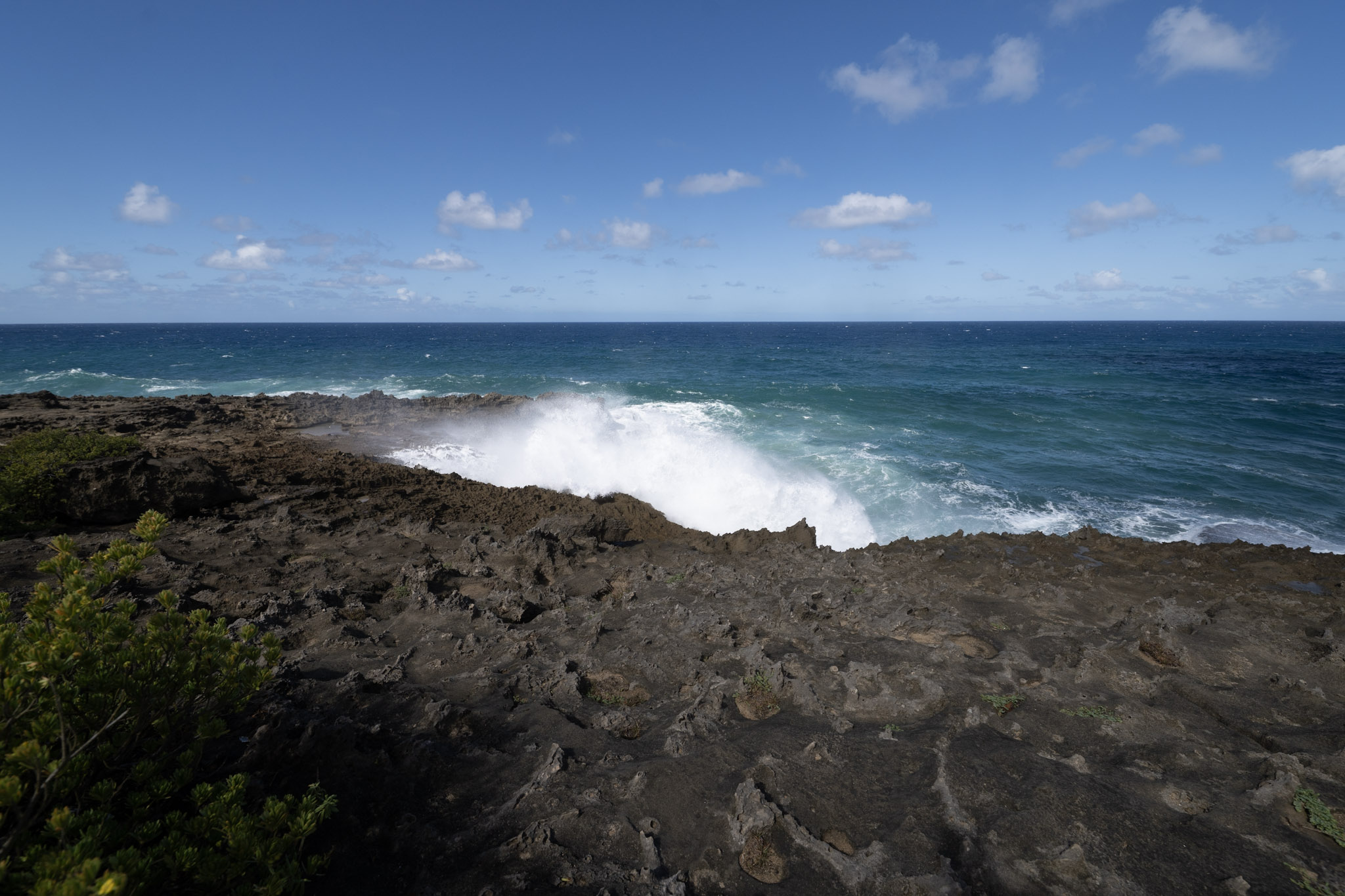 2021-01-02_Arecibo - foto 80