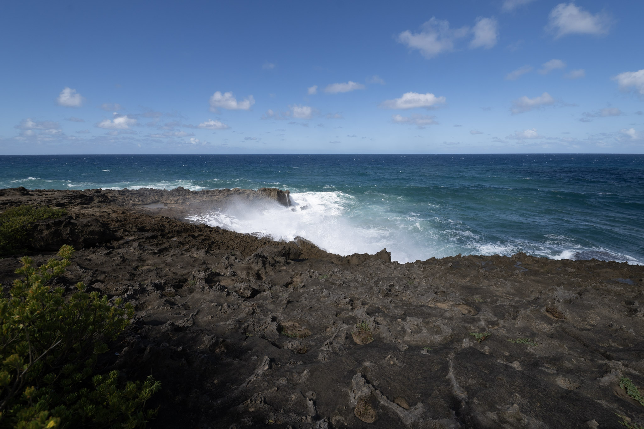 2021-01-02_Arecibo - foto 81