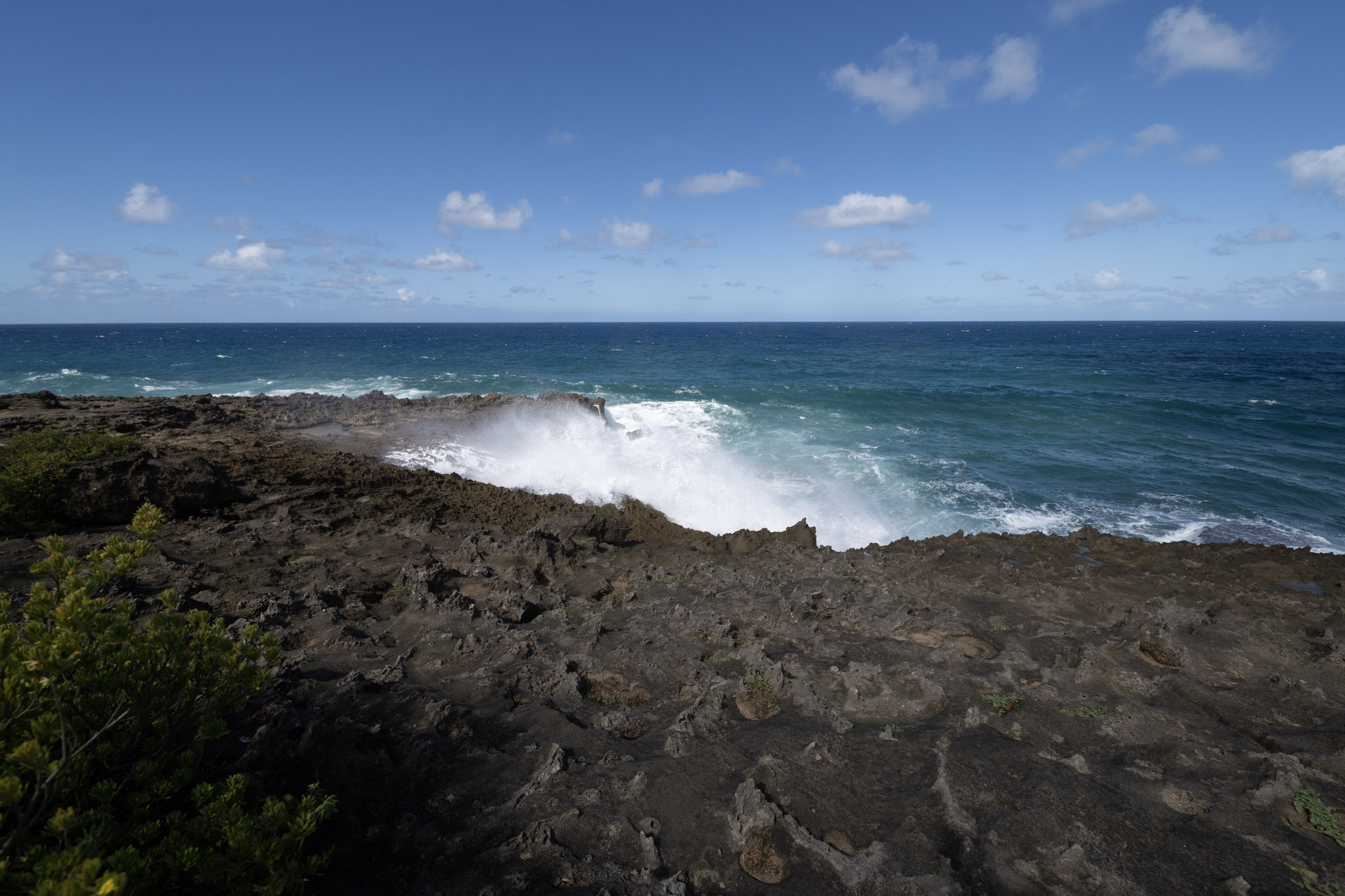 2021-01-02_Arecibo - foto 82