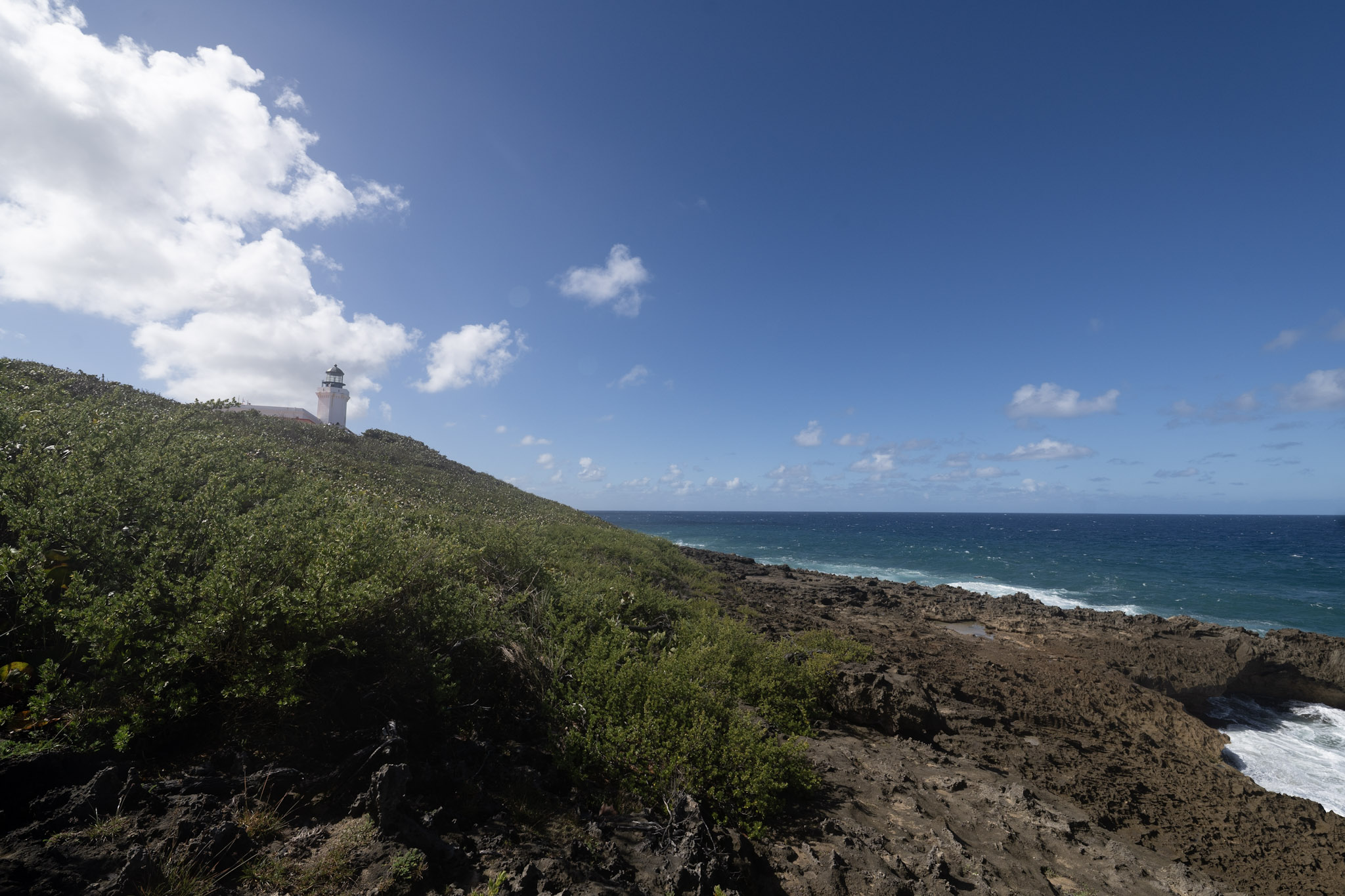 2021-01-02_Arecibo - foto 85