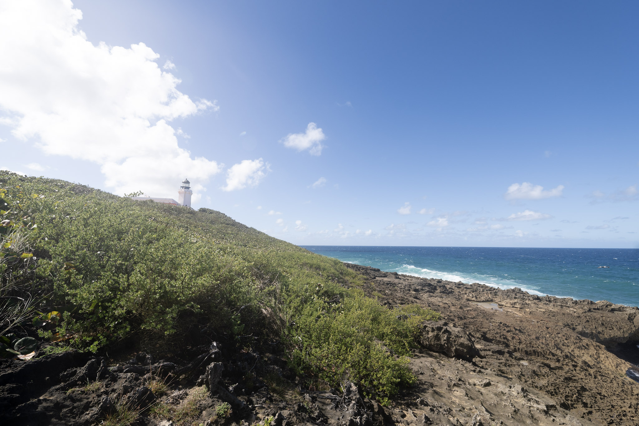 2021-01-02_Arecibo - foto 86