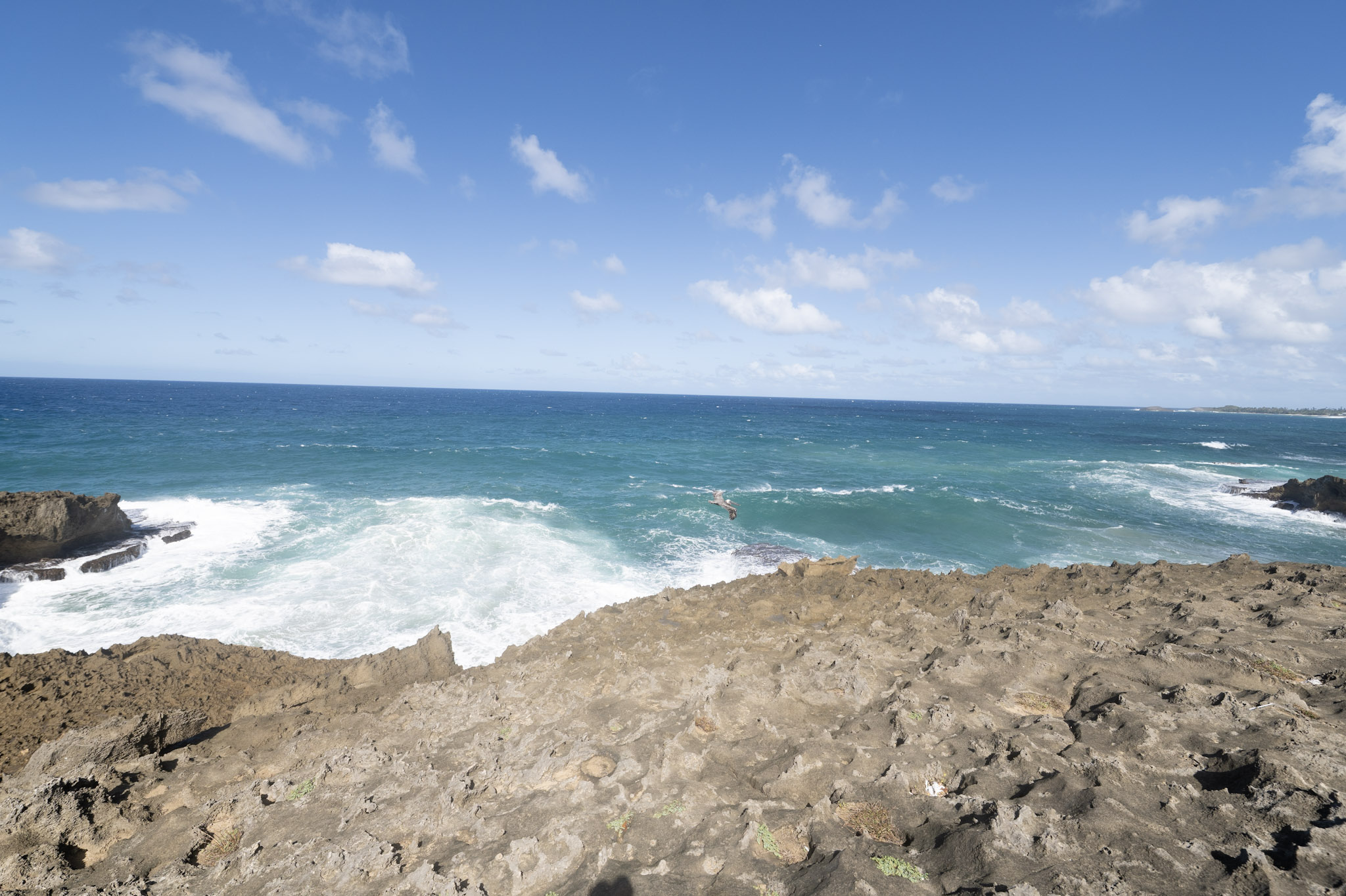 2021-01-02_Arecibo - foto 88