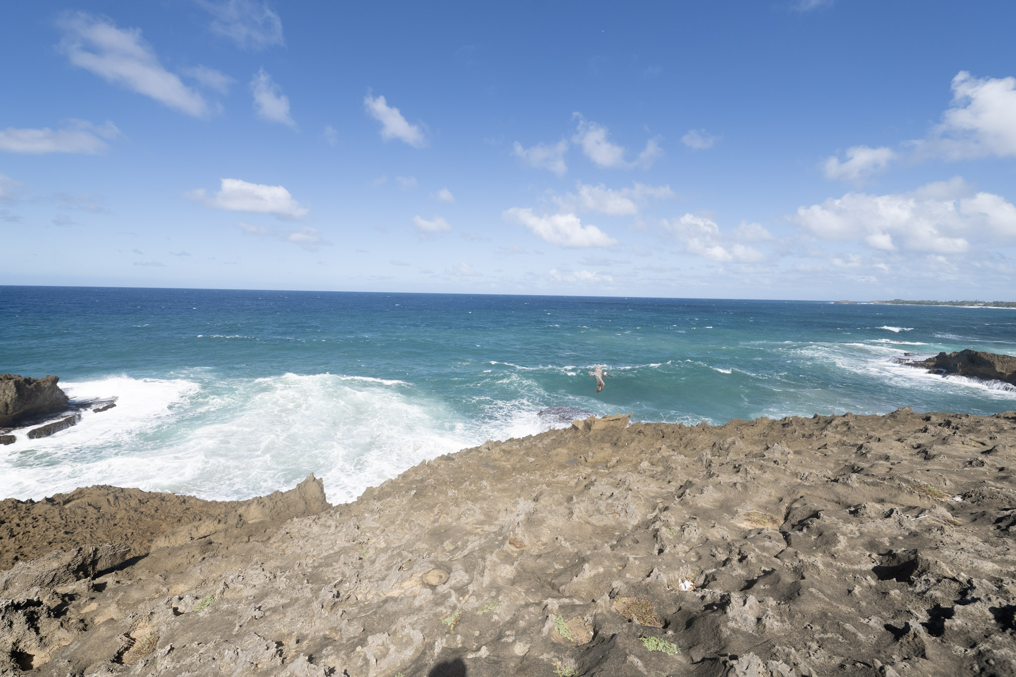 2021-01-02_Arecibo - foto 89