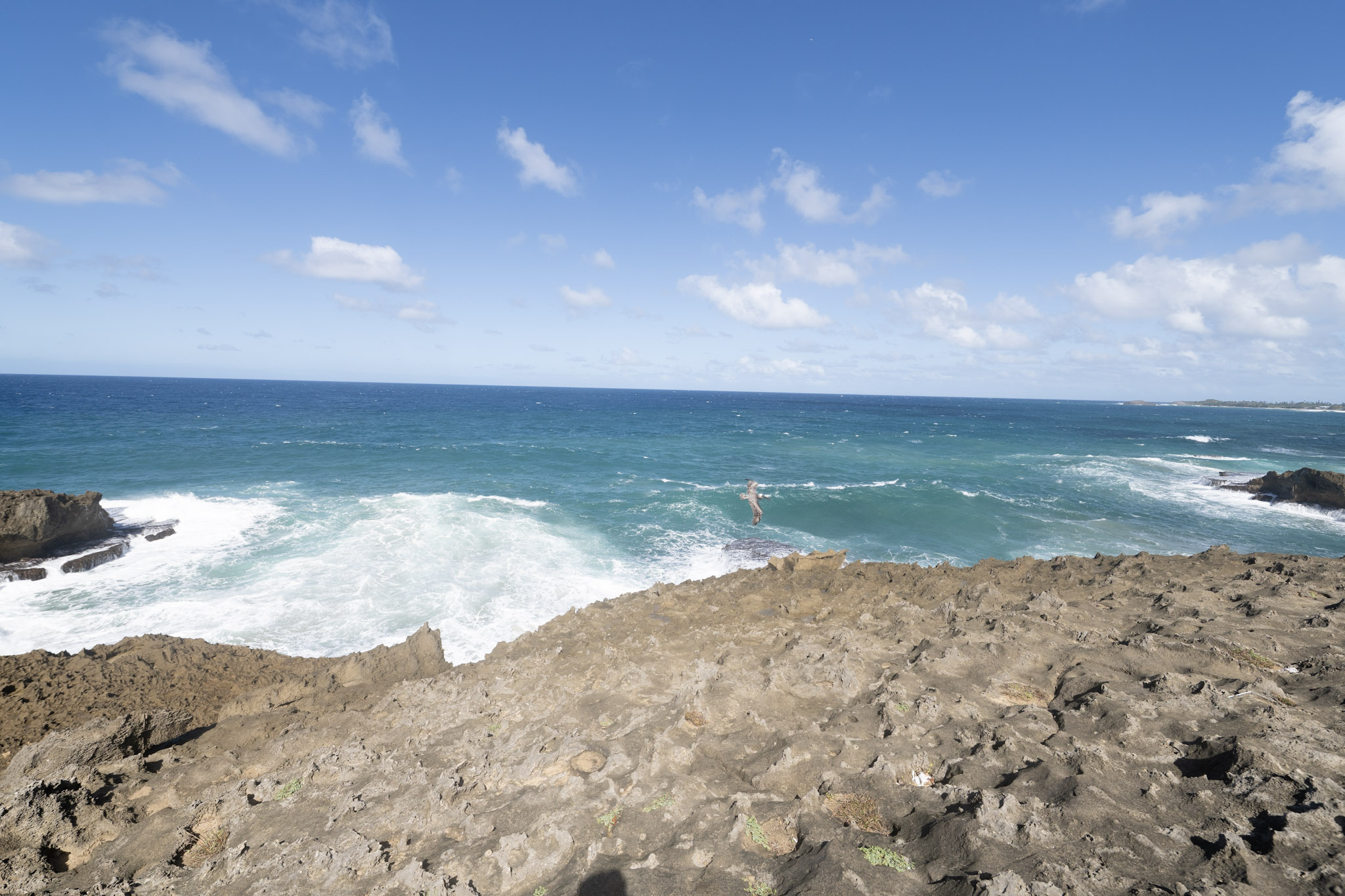 2021-01-02_Arecibo - foto 90