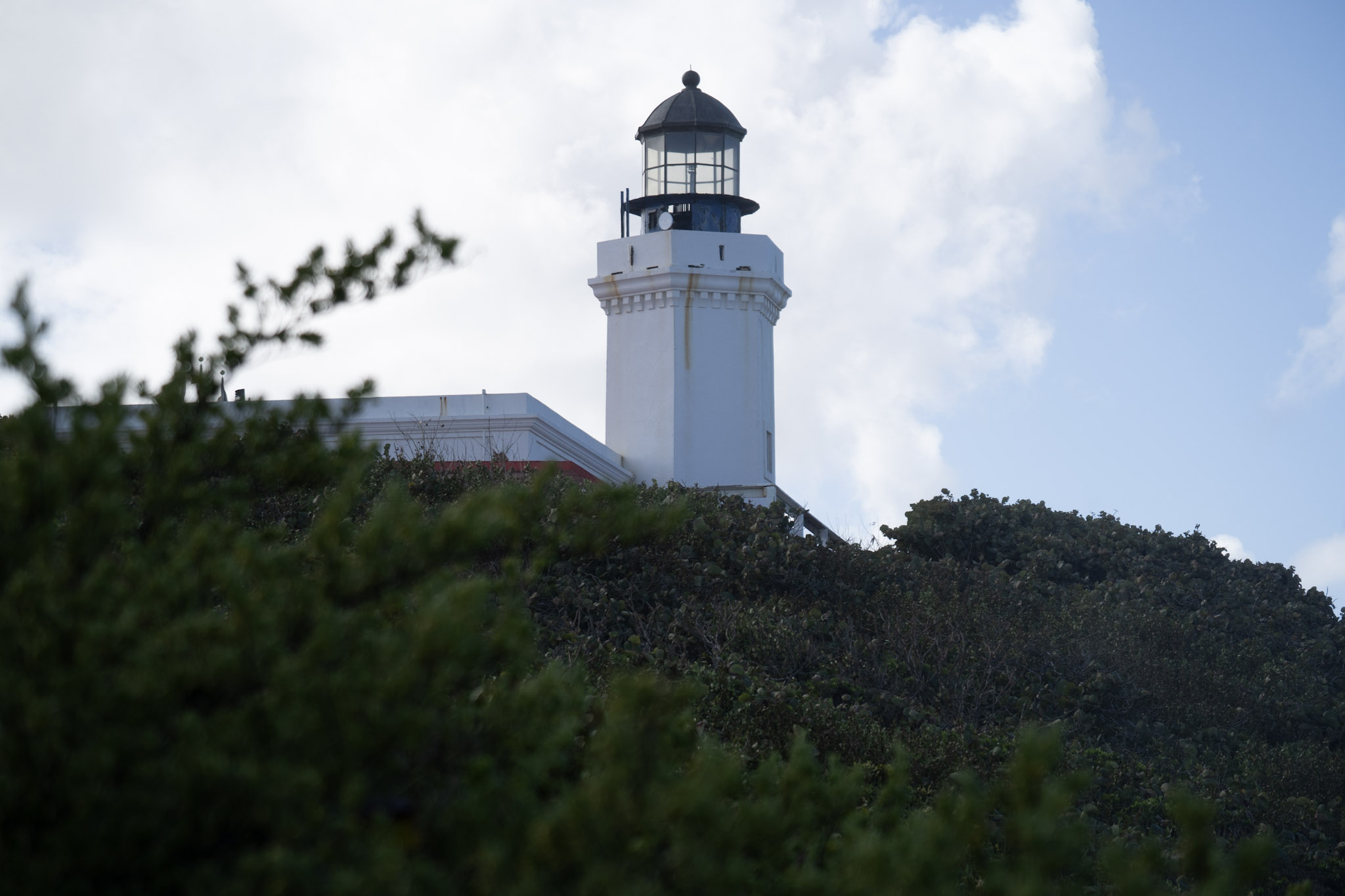 2021-01-02_Arecibo - foto 91