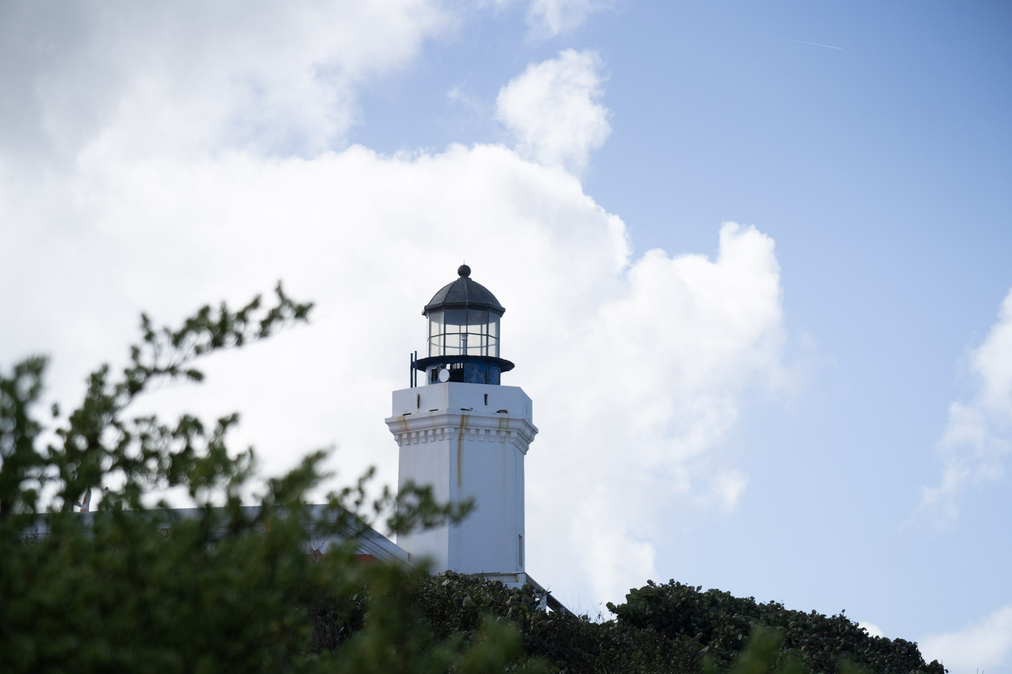 2021-01-02_Arecibo - foto 93