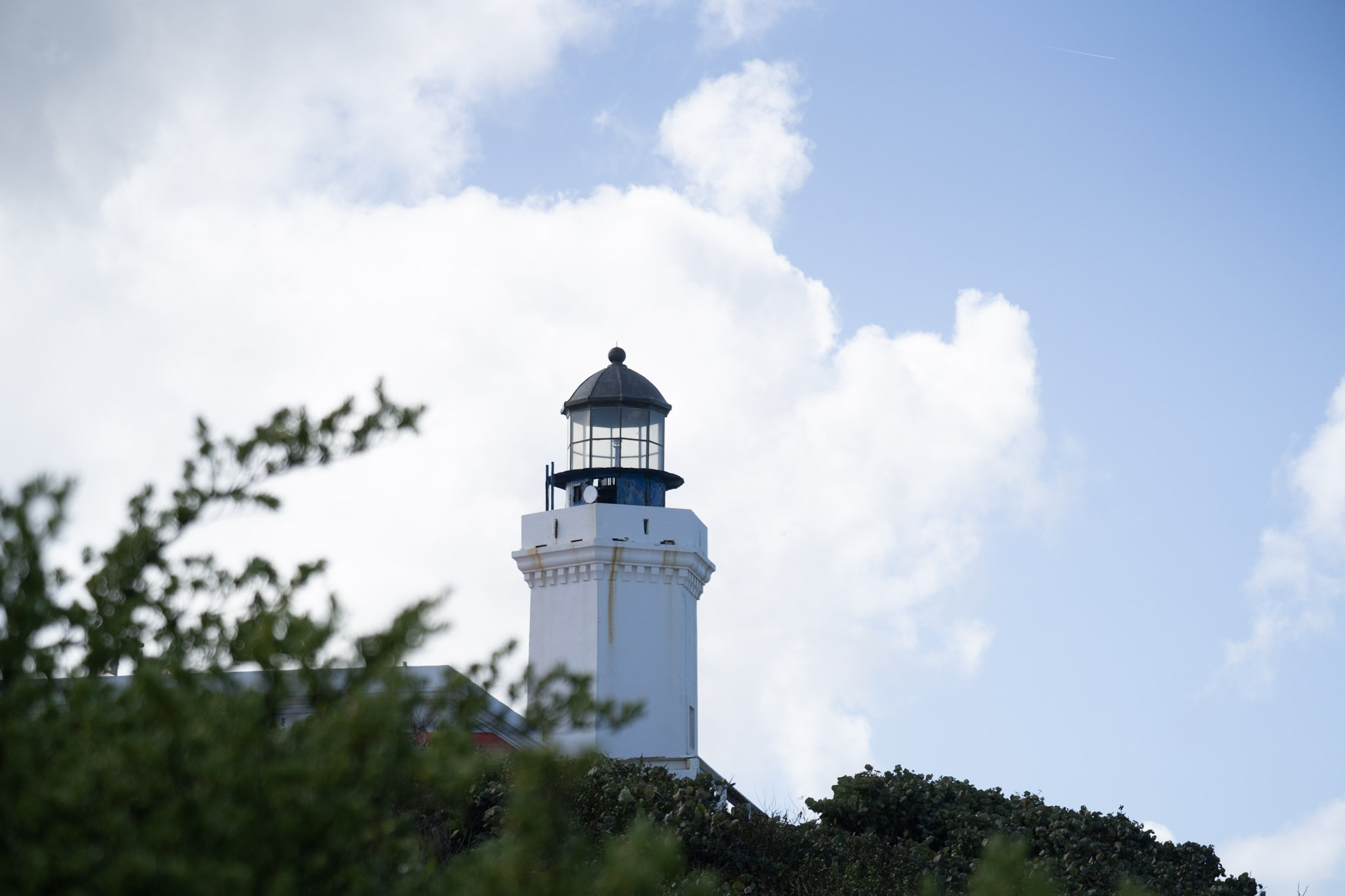 2021-01-02_Arecibo - foto 94