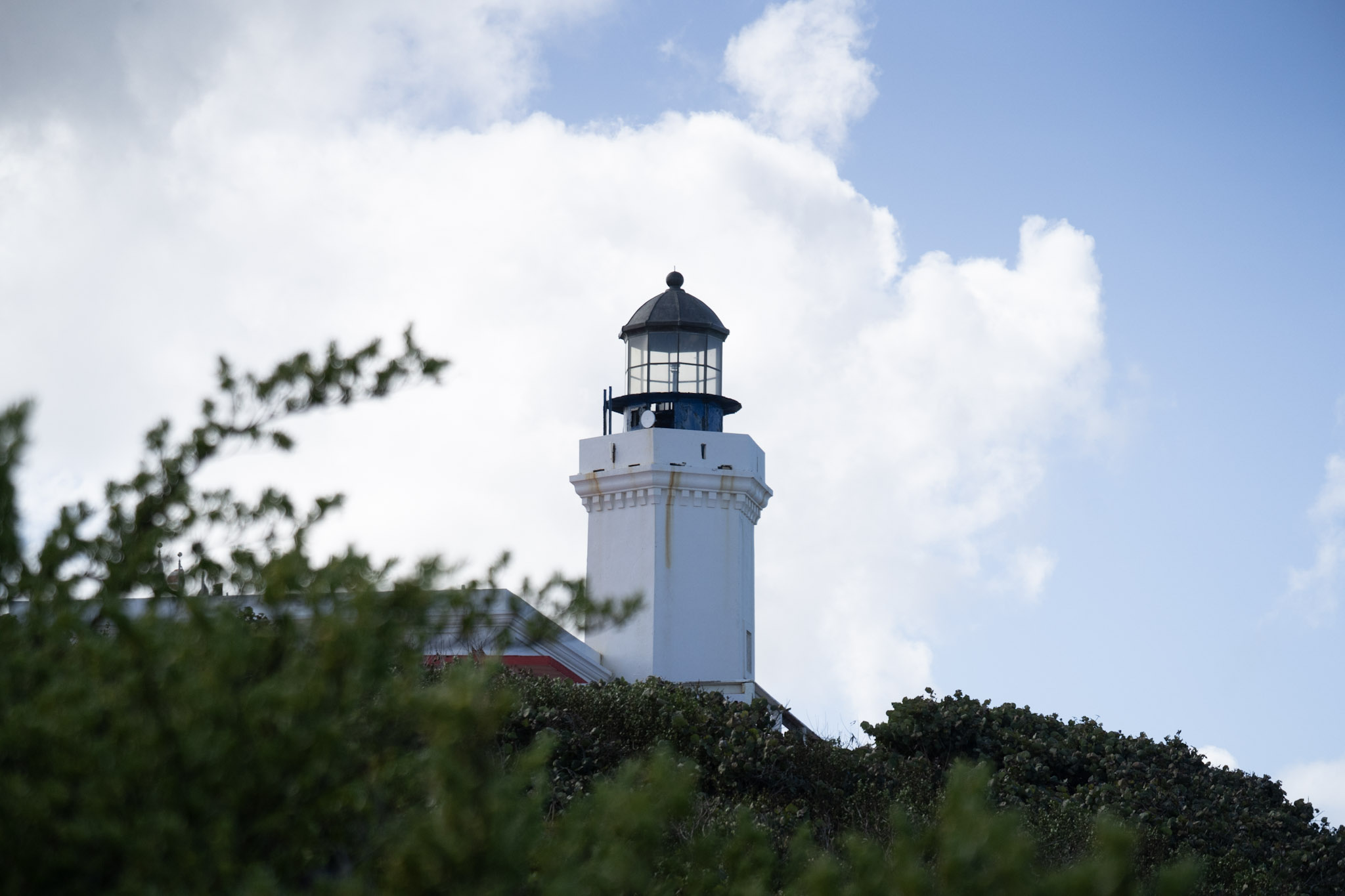 2021-01-02_Arecibo - foto 95